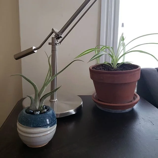 Thank you, @airplantdesignstudio , great grab bag!