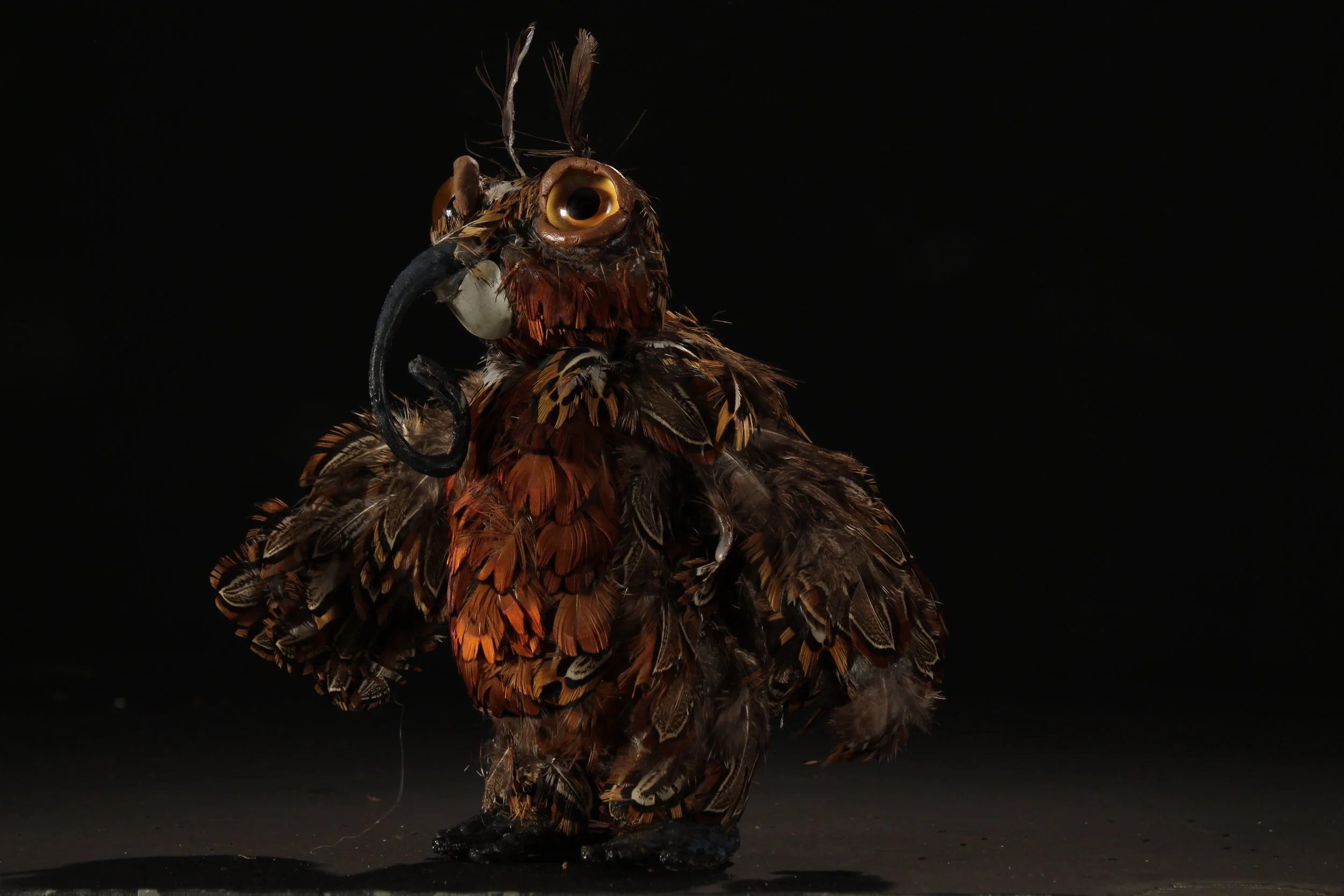 Moth Owl - Side
