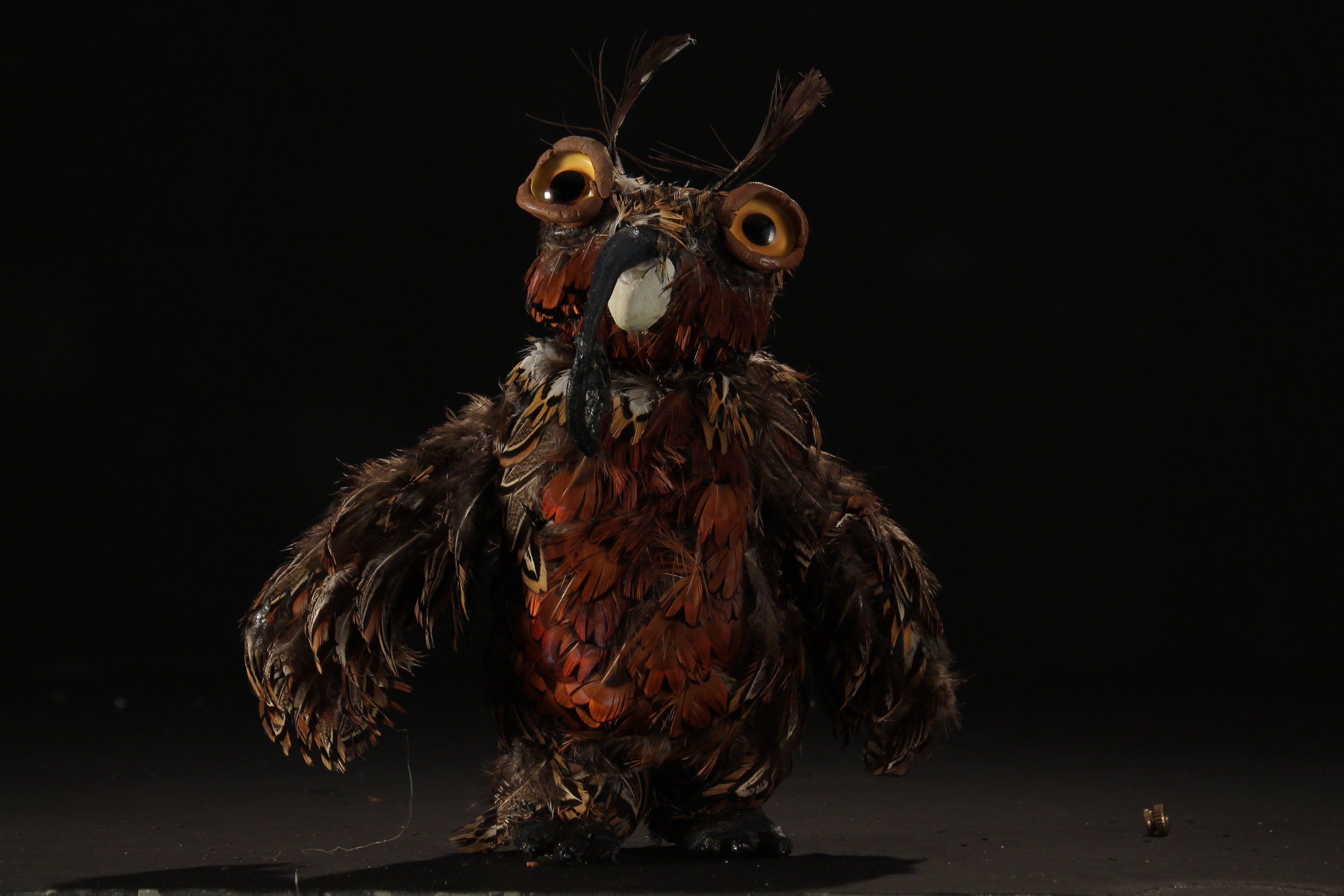 Moth Owl - Front