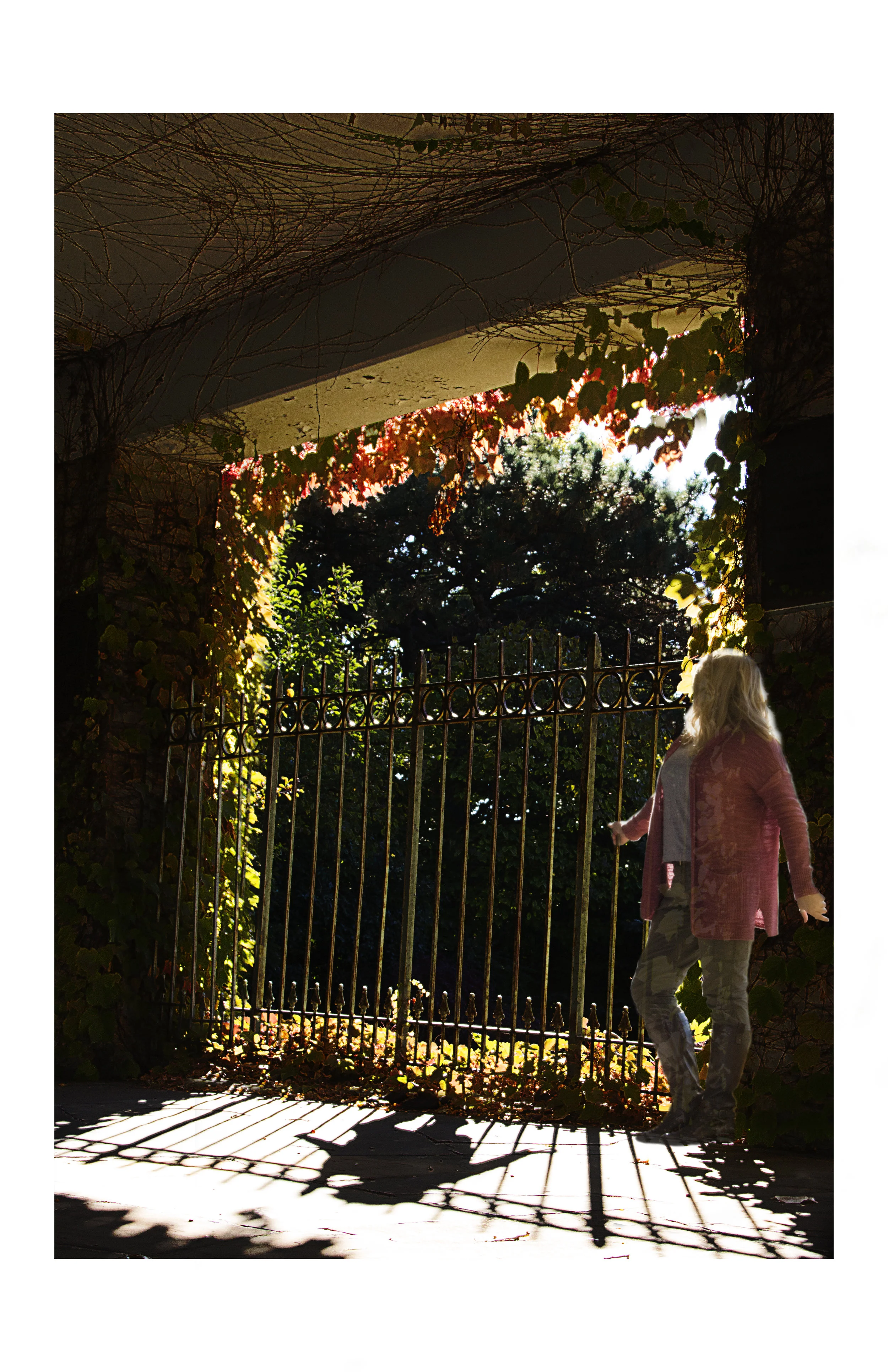 Shadows of the Garden.jpg