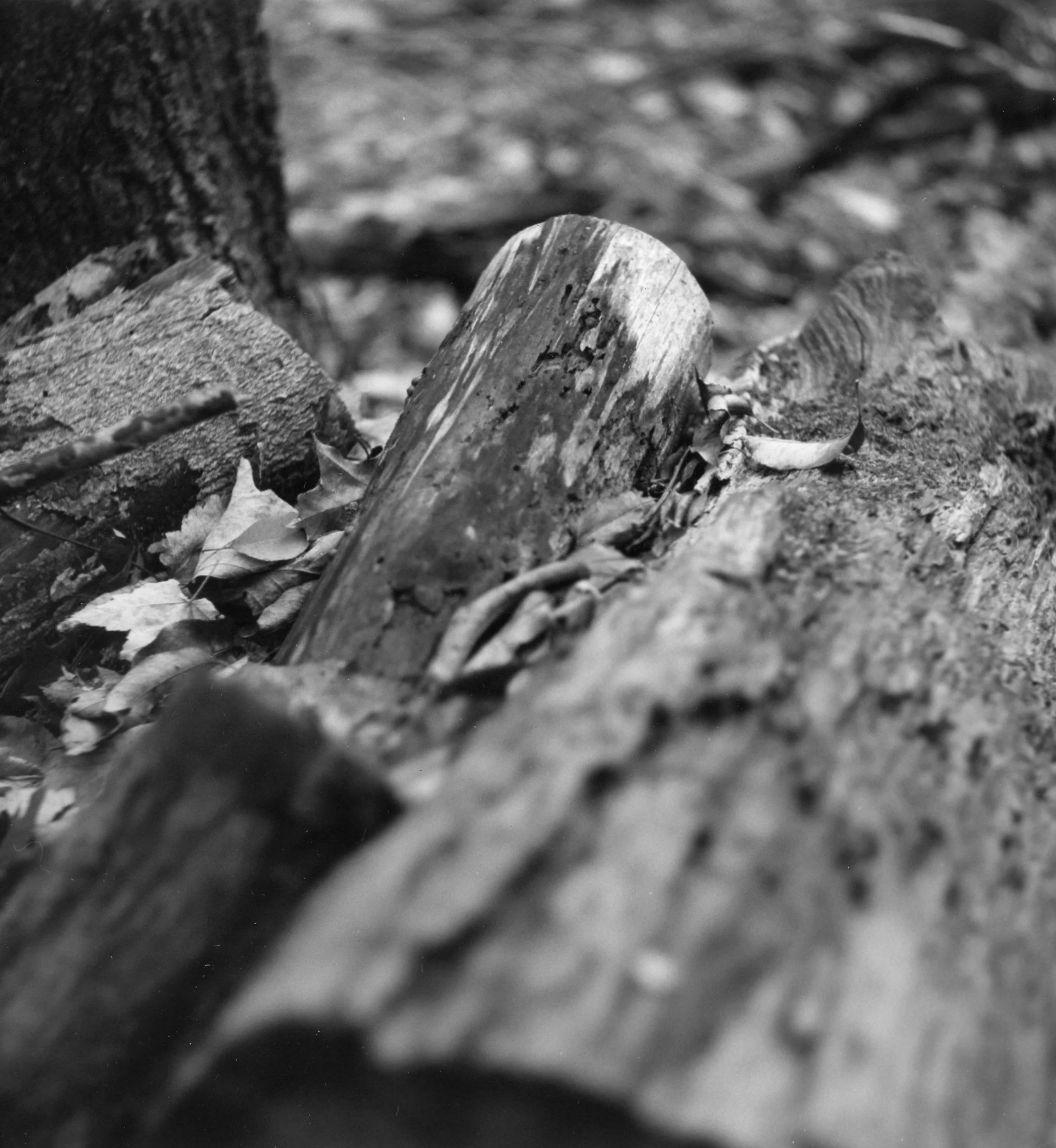 img021.jpg