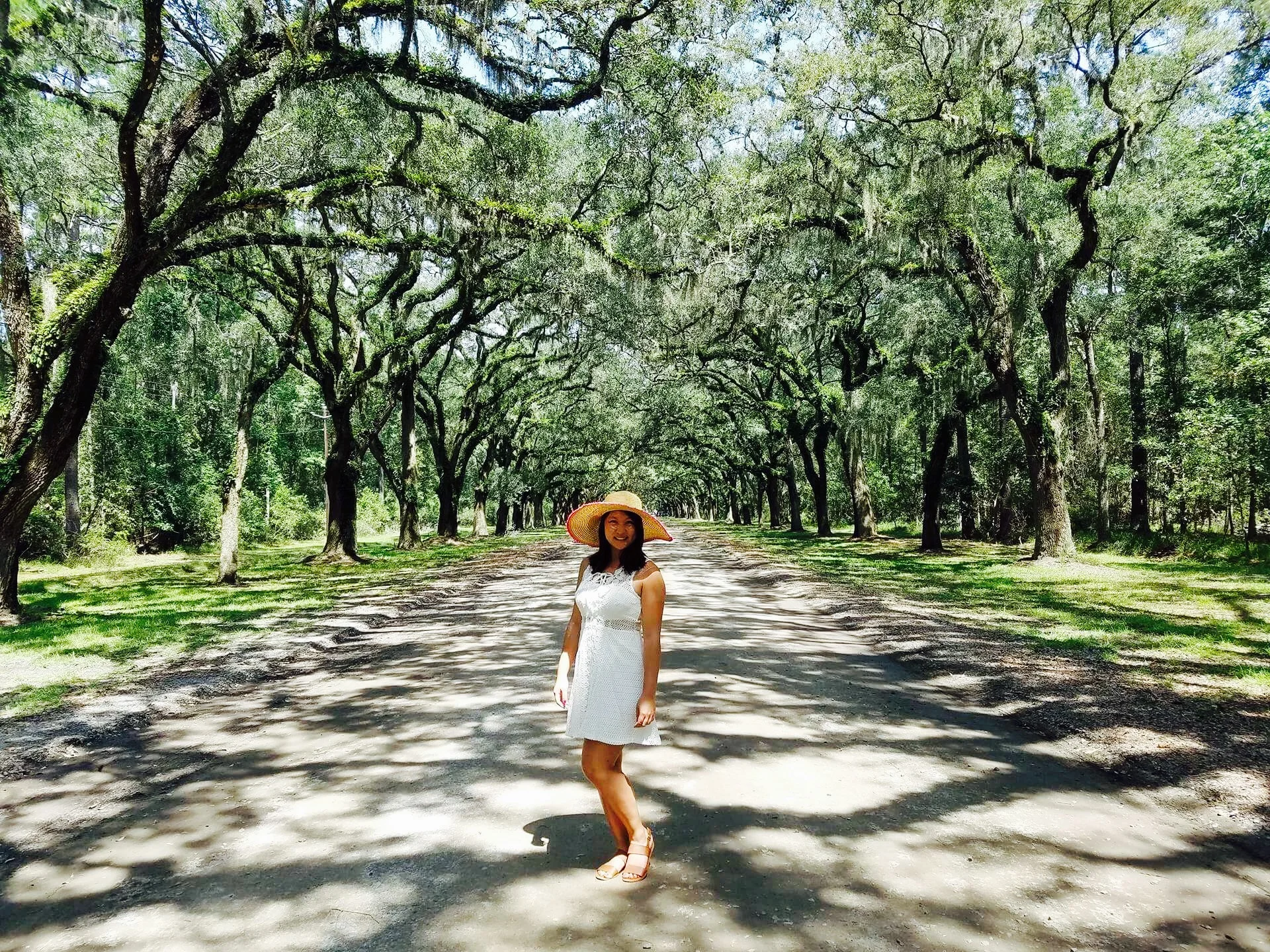 Wormsloe (Savannah).jpg