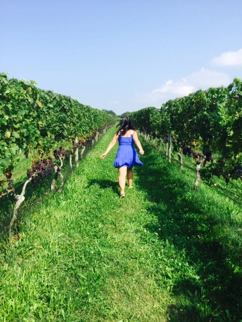 LI Wine Country 1.jpg