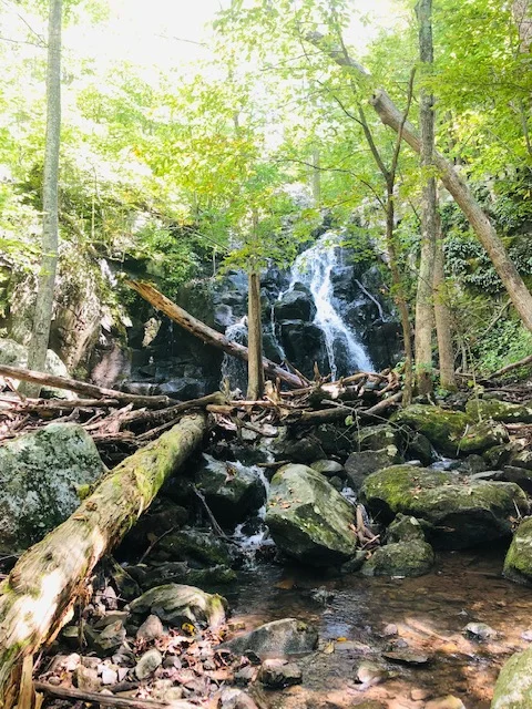 Virginia 1.jpg