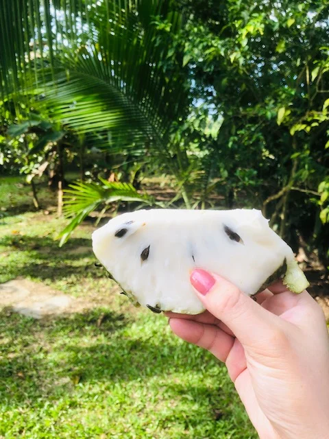 Costa Rica 10.jpg