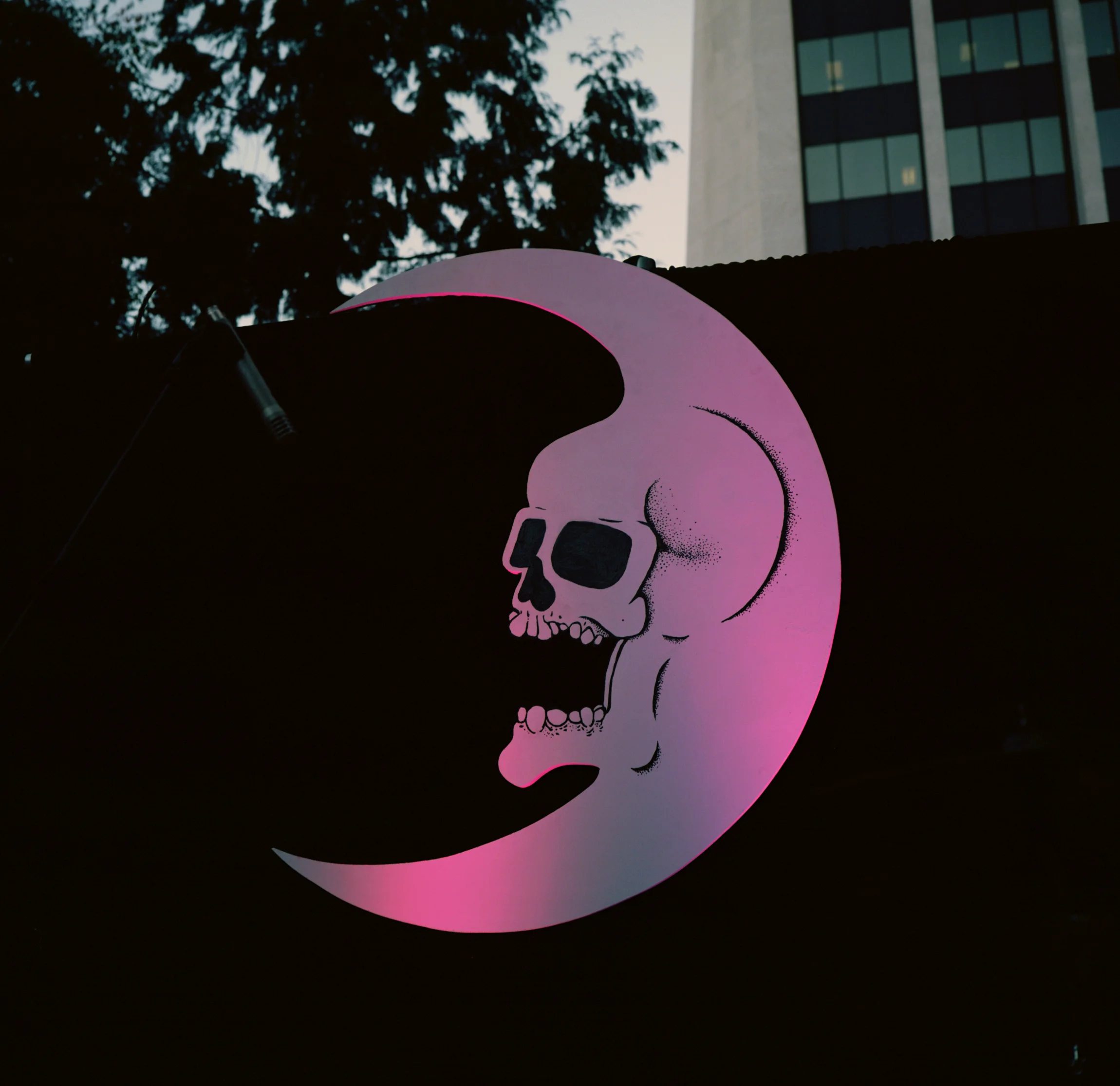 Photo by Matt Howe
