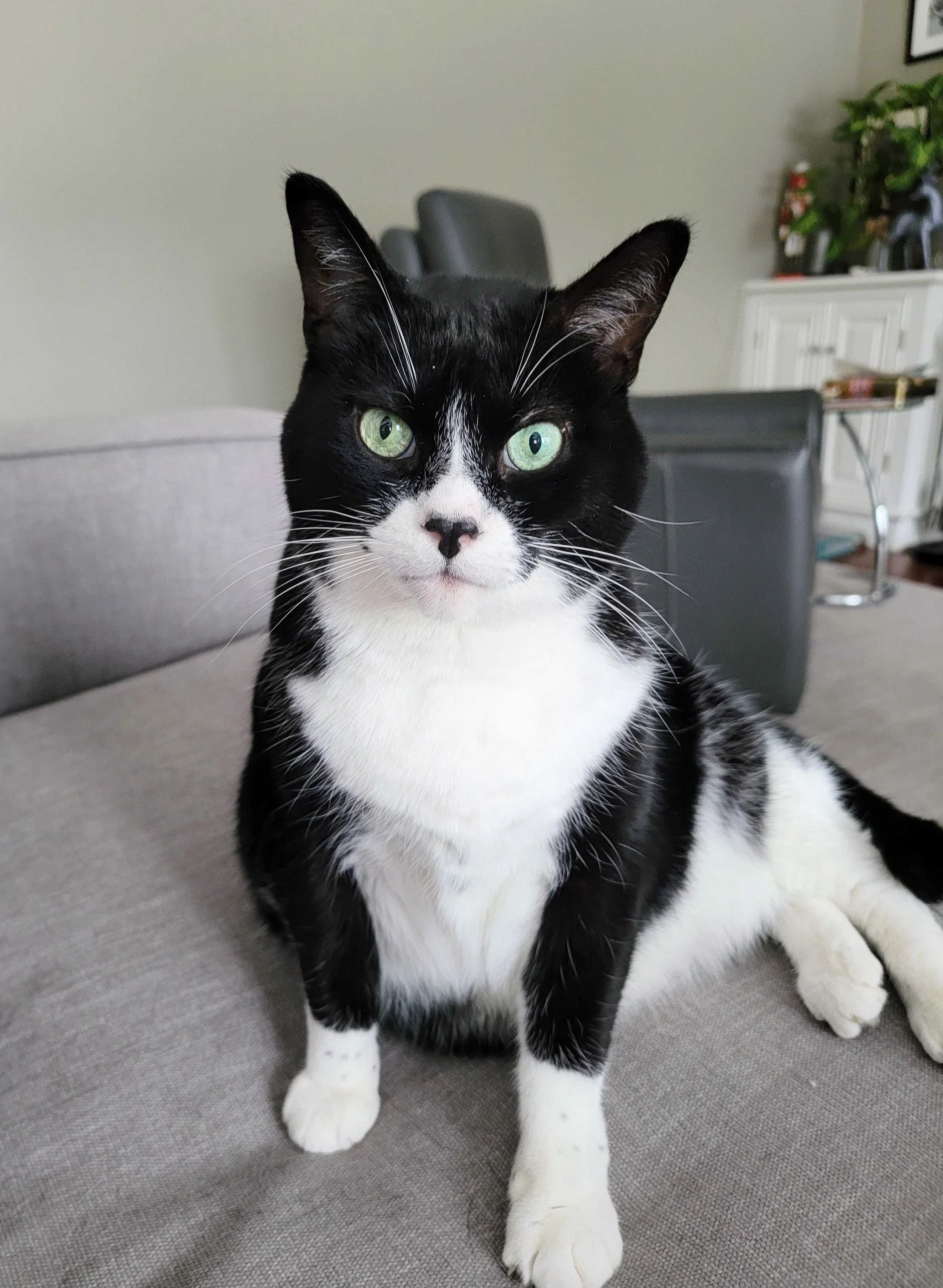 ALFIE