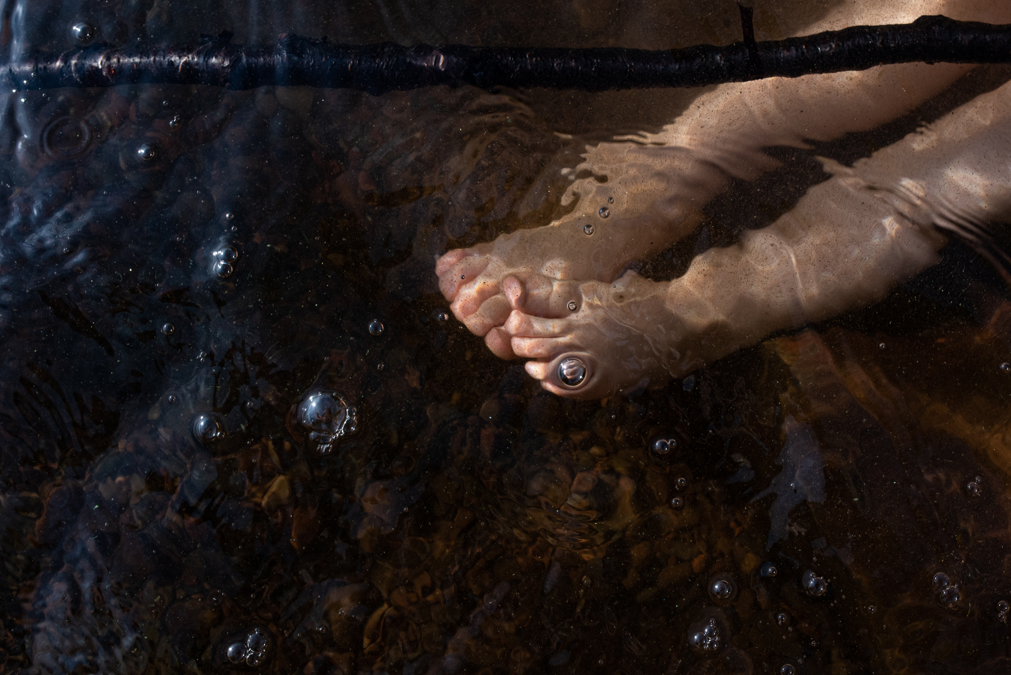 little feet in lake ontario