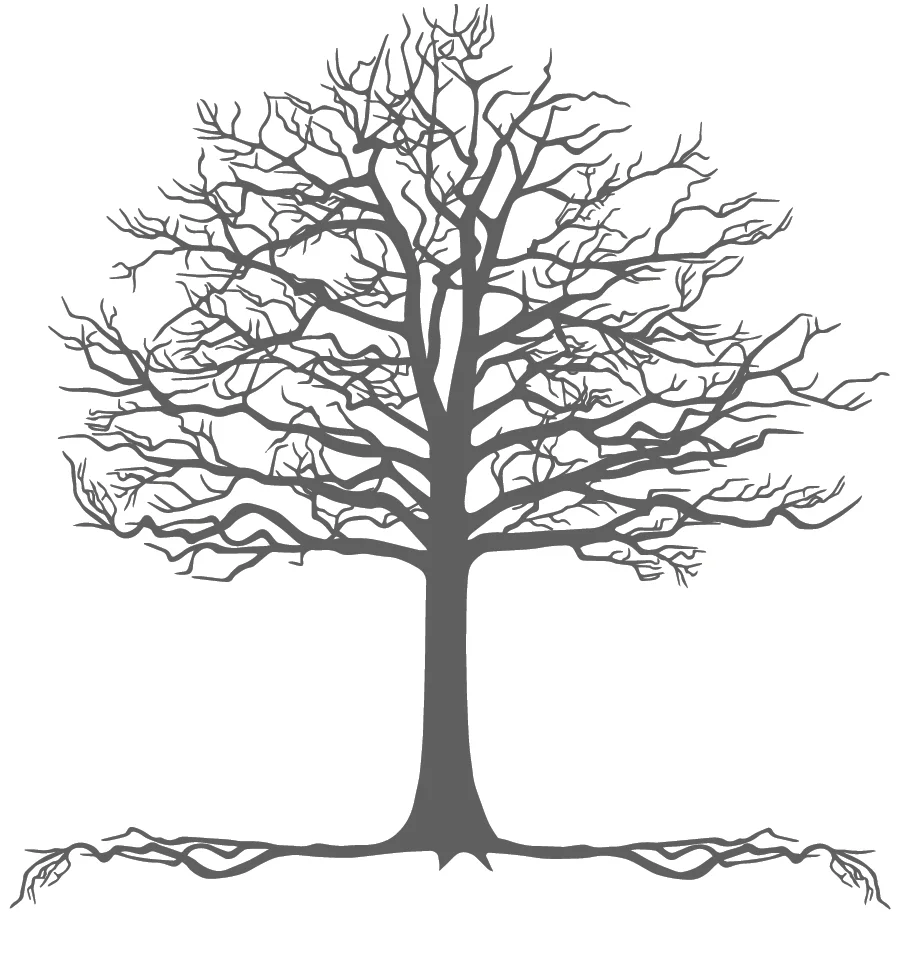 BA_MapleSyrup_GreyTree-01.jpg