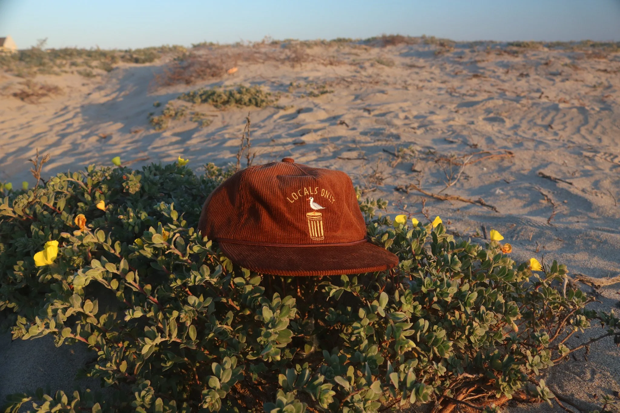 Locals Only_Beach_Zoomed_Sunset.jpg