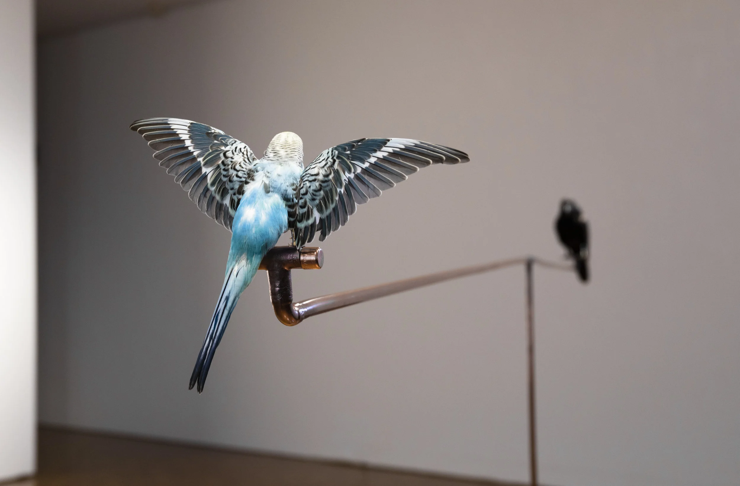 Liam Garstang_The Orbit, installation view.jpg