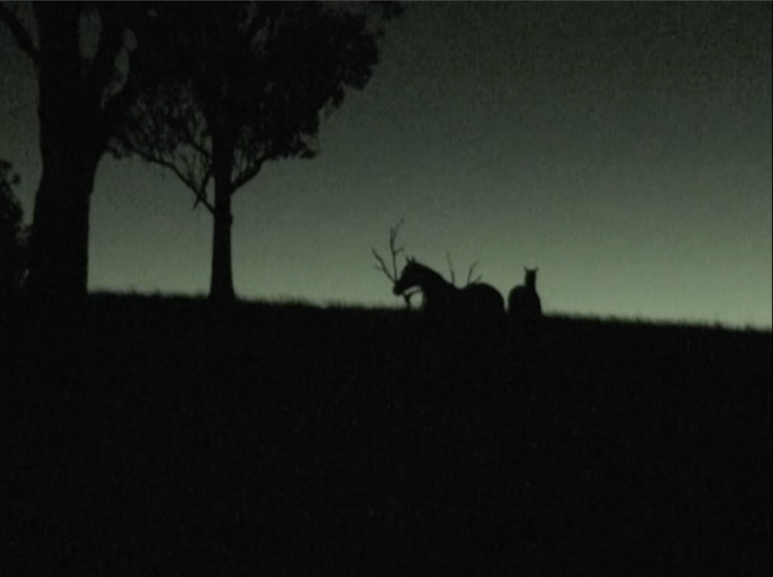 The Fallow, 2012-2025. Video, MiniDV (1:33min)