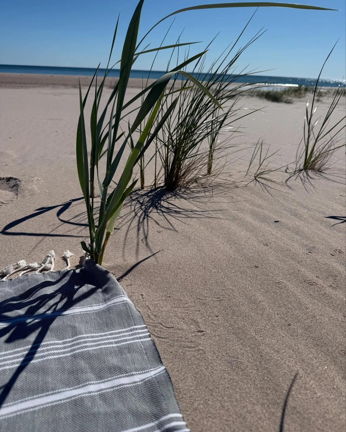 Some snapshots from a beautifully flowy and intuitive week on F&aring;r&ouml; with a few visits to Gotland. It&rsquo;s like life wanted to remind me of what happens when I let go of control and let flow lead. When I move from my mind to my body or pr