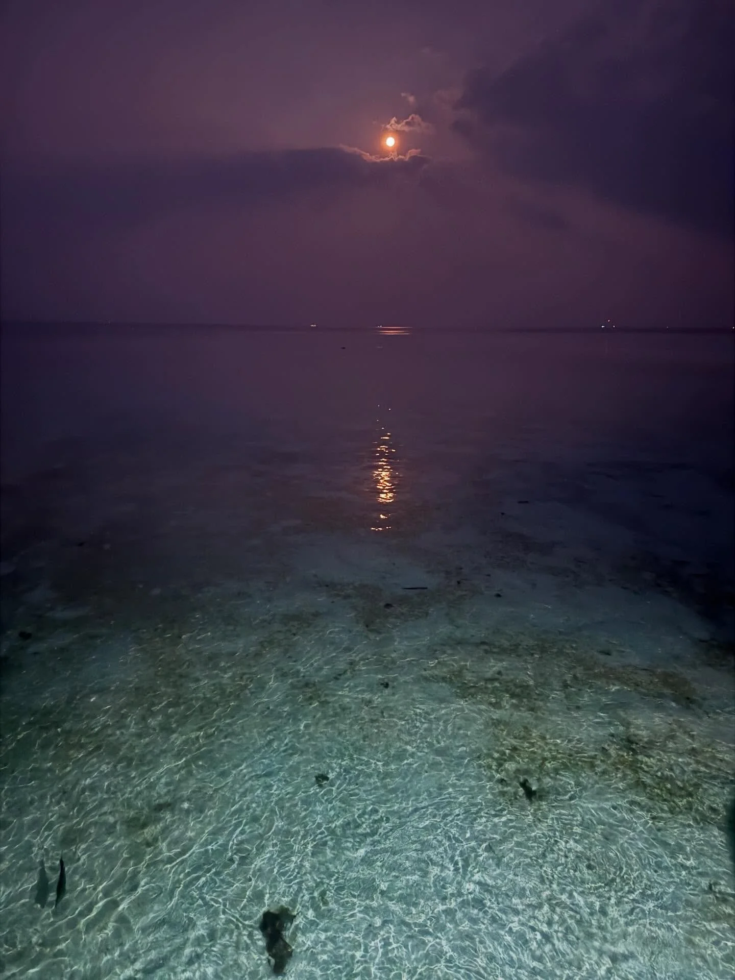 &rdquo;Det &auml;r l&auml;ttare &auml;n vad du kanske f&ouml;rest&auml;ller dig,
enklare &auml;n vad du till&aring;tit dig att hoppas.
Vem ber&auml;ttade f&ouml;r dig att det m&aring;ste vara s&aring; sv&aring;rt?
Att det inte &auml;r f&ouml;r alla?
