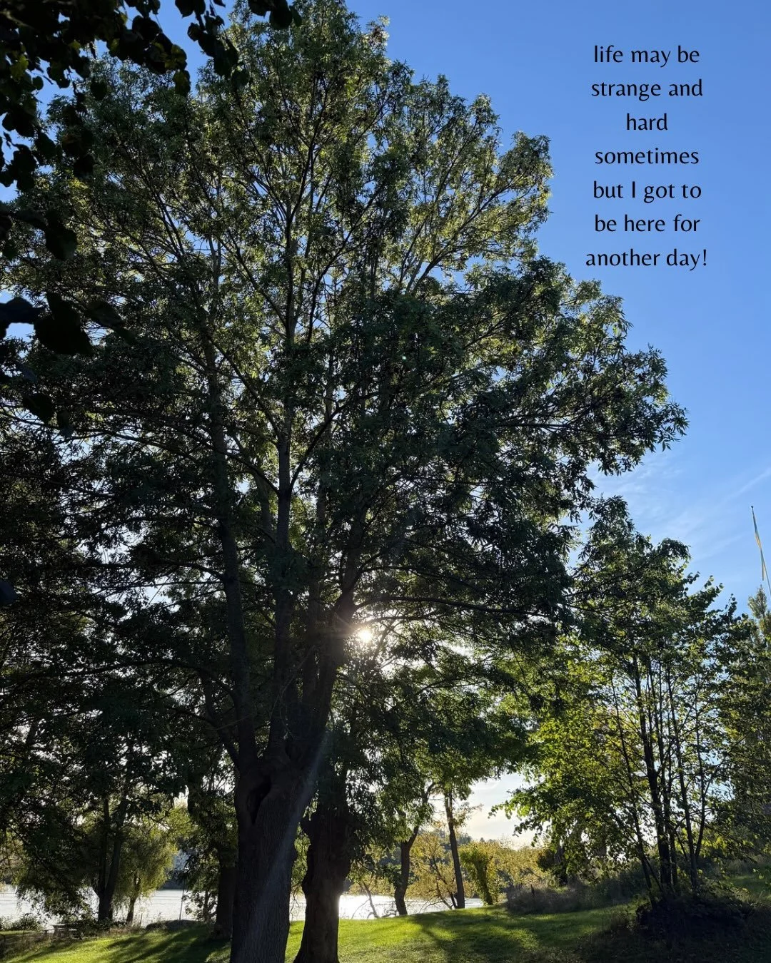 This October, I&rsquo;m collecting little reminders that life is here and now, happening through me. I call this project #LifeISeeYou.  I want to notice more of it and not be caught up in my mind&rsquo;s thoughts and stories about it. 

Every day, I&