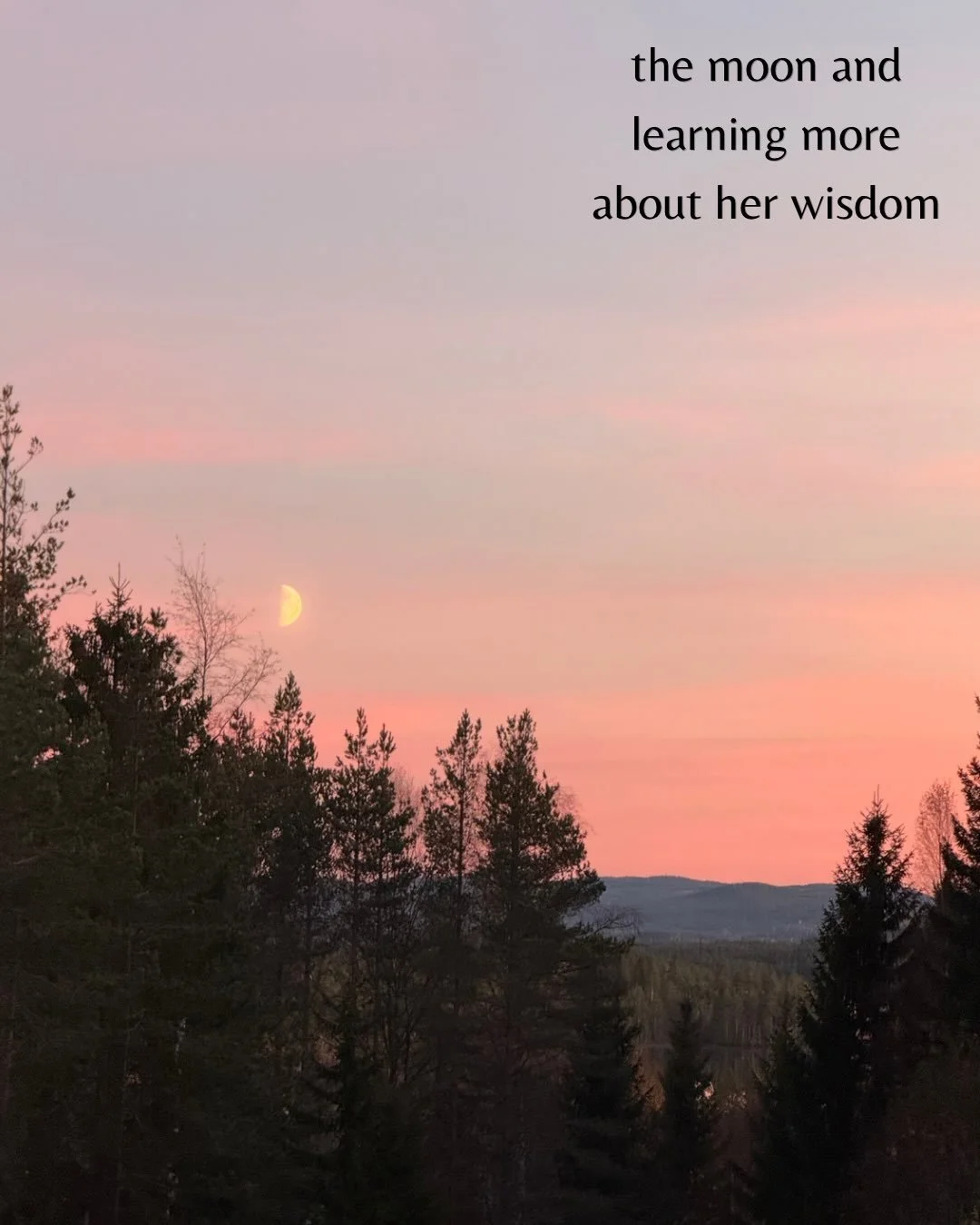 This October, I&rsquo;m collecting little reminders that life is here and now, happening through me. I call this project #LifeISeeYou.  I want to notice more of it and not be caught up in my mind&rsquo;s thoughts and stories about it. 

Every day, I&