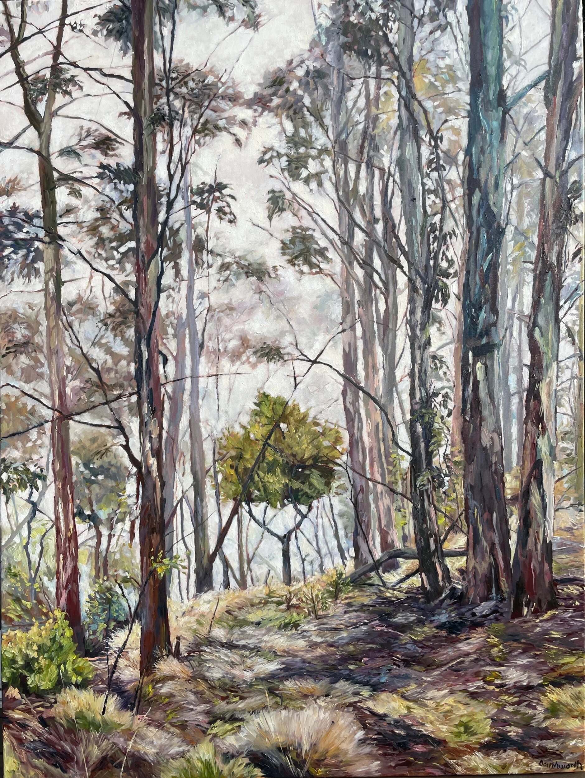 437805F6-71FC-418A-86AD-2E348EE30B17