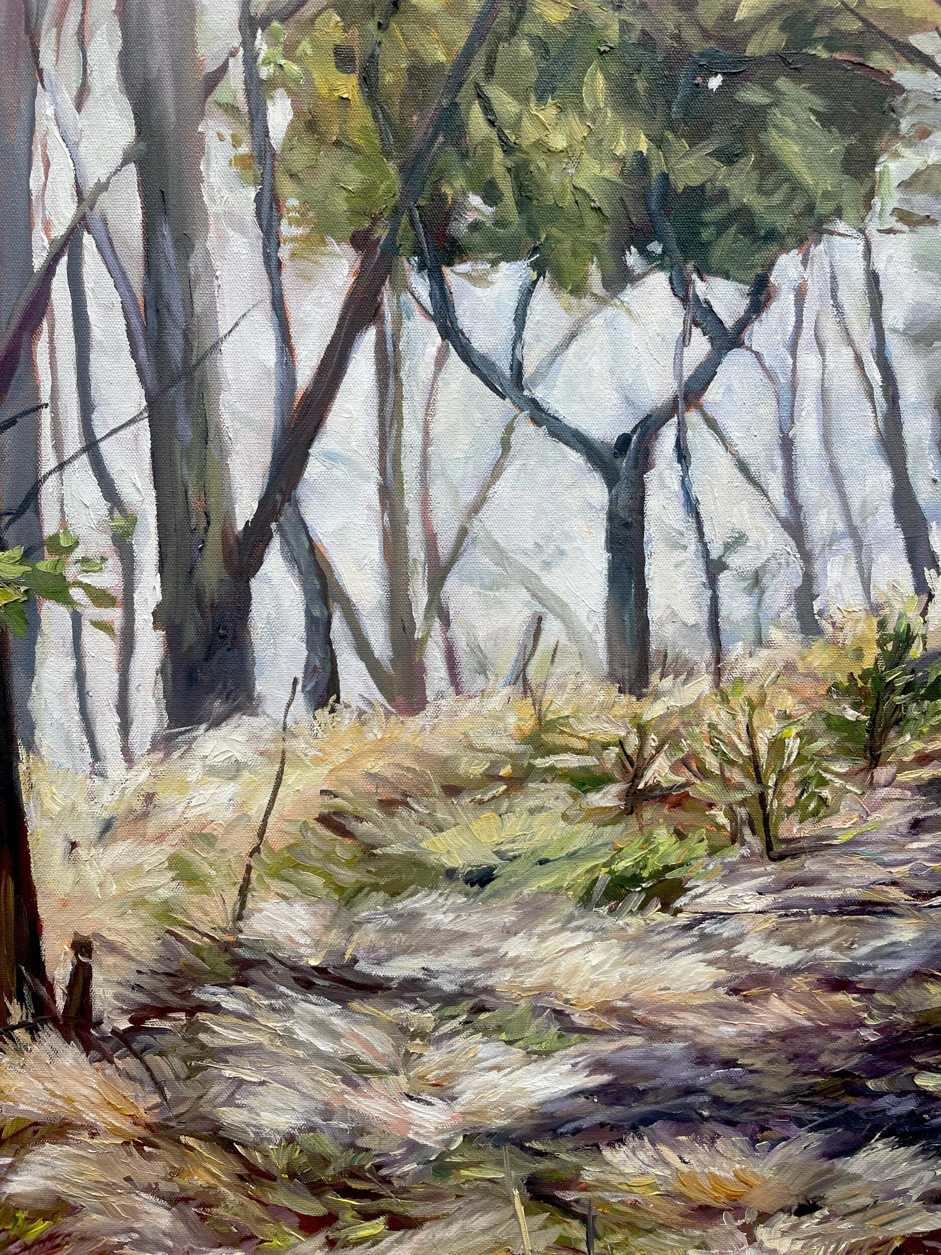 3E620854-9225-49D3-9E17-B974F6E7BAA4