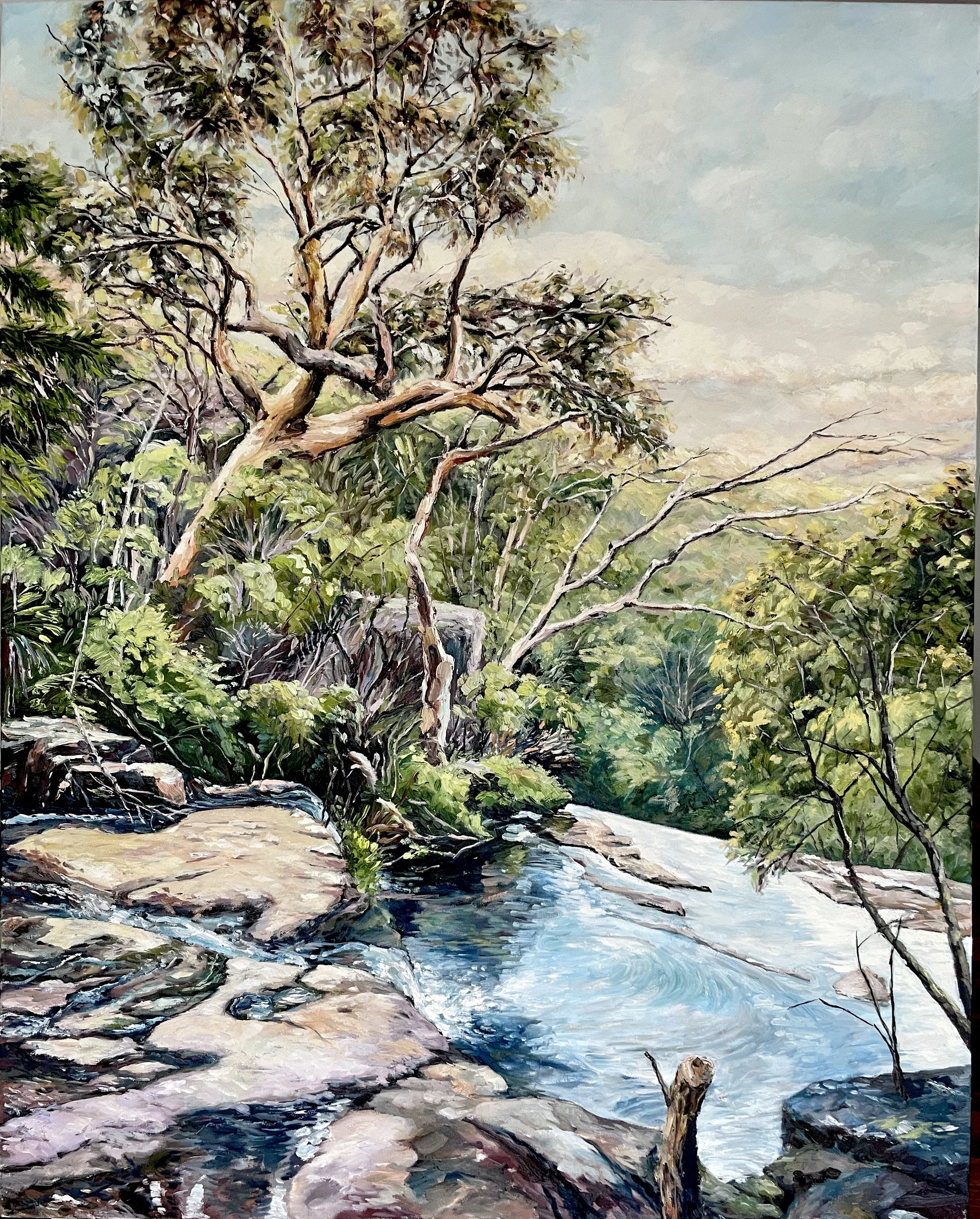 Top of Federal Falls, RNP.jpeg