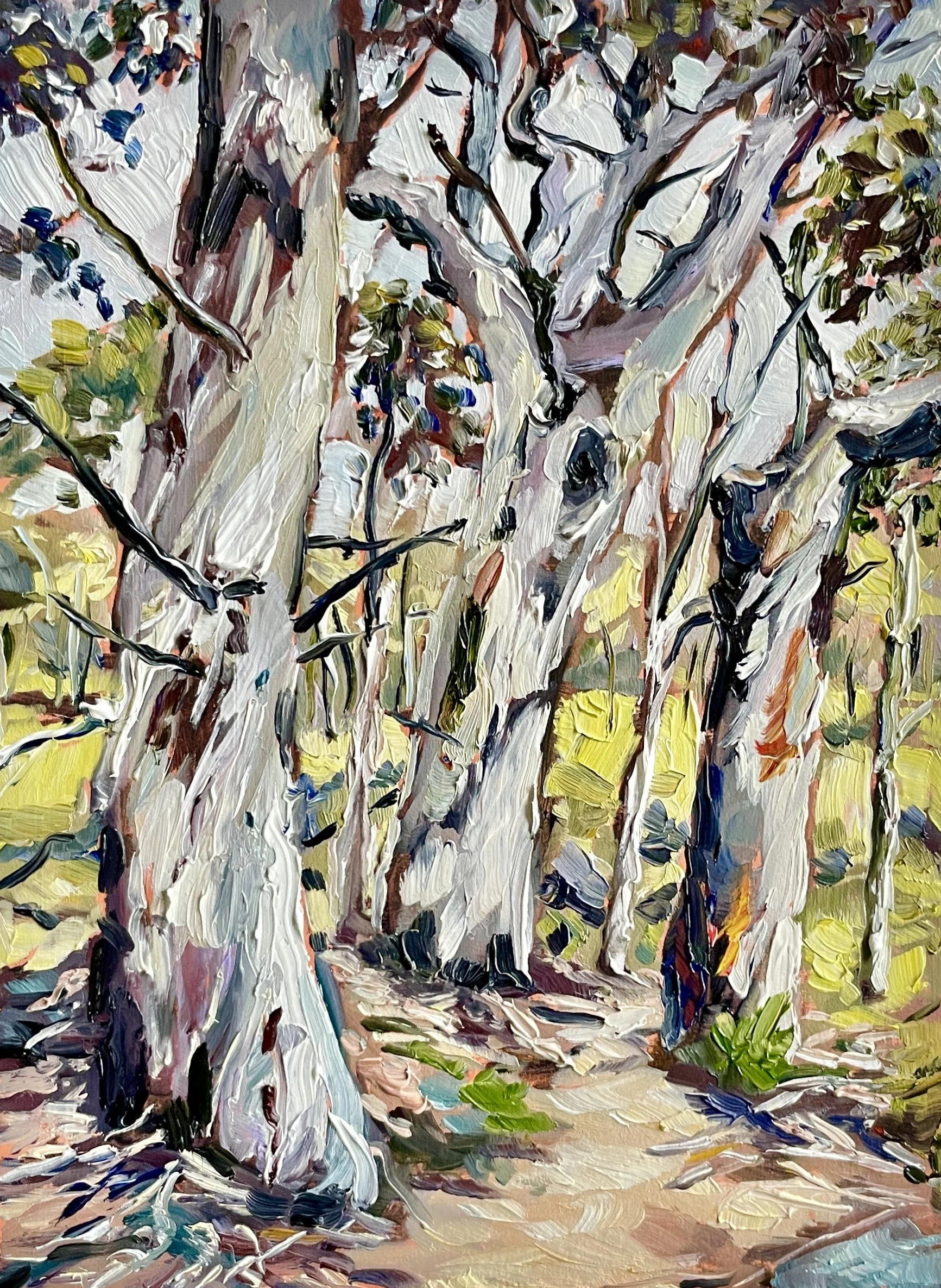 snow gums.jpg