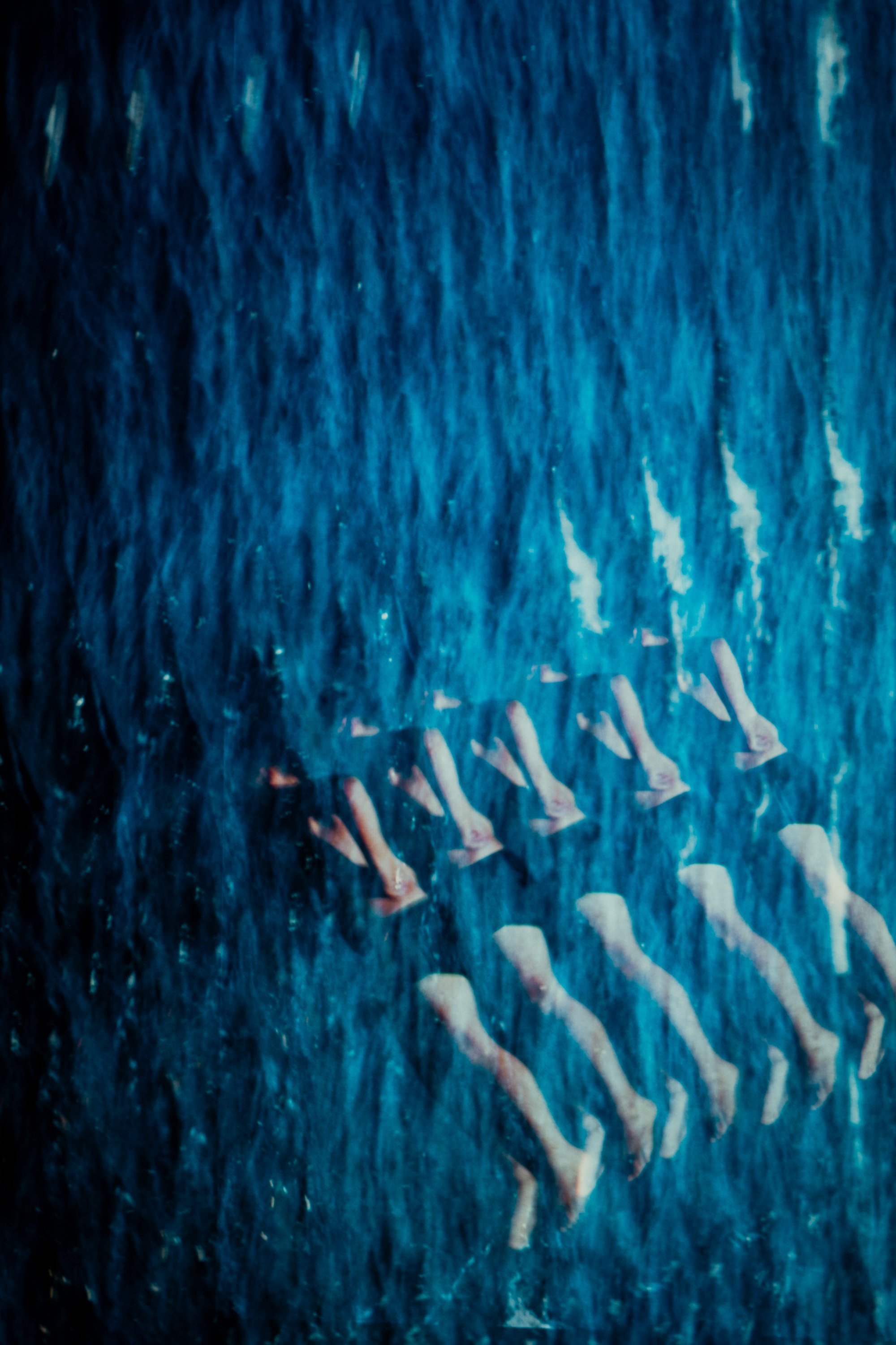 ap_2026_4.jpg