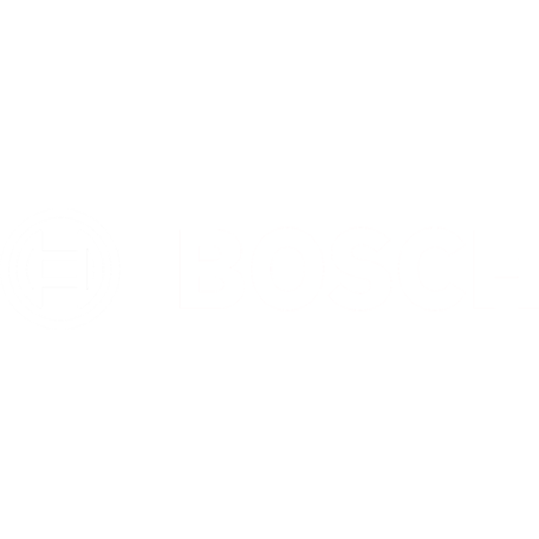 Bosch.png