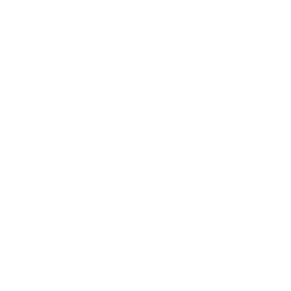 Mapal.png