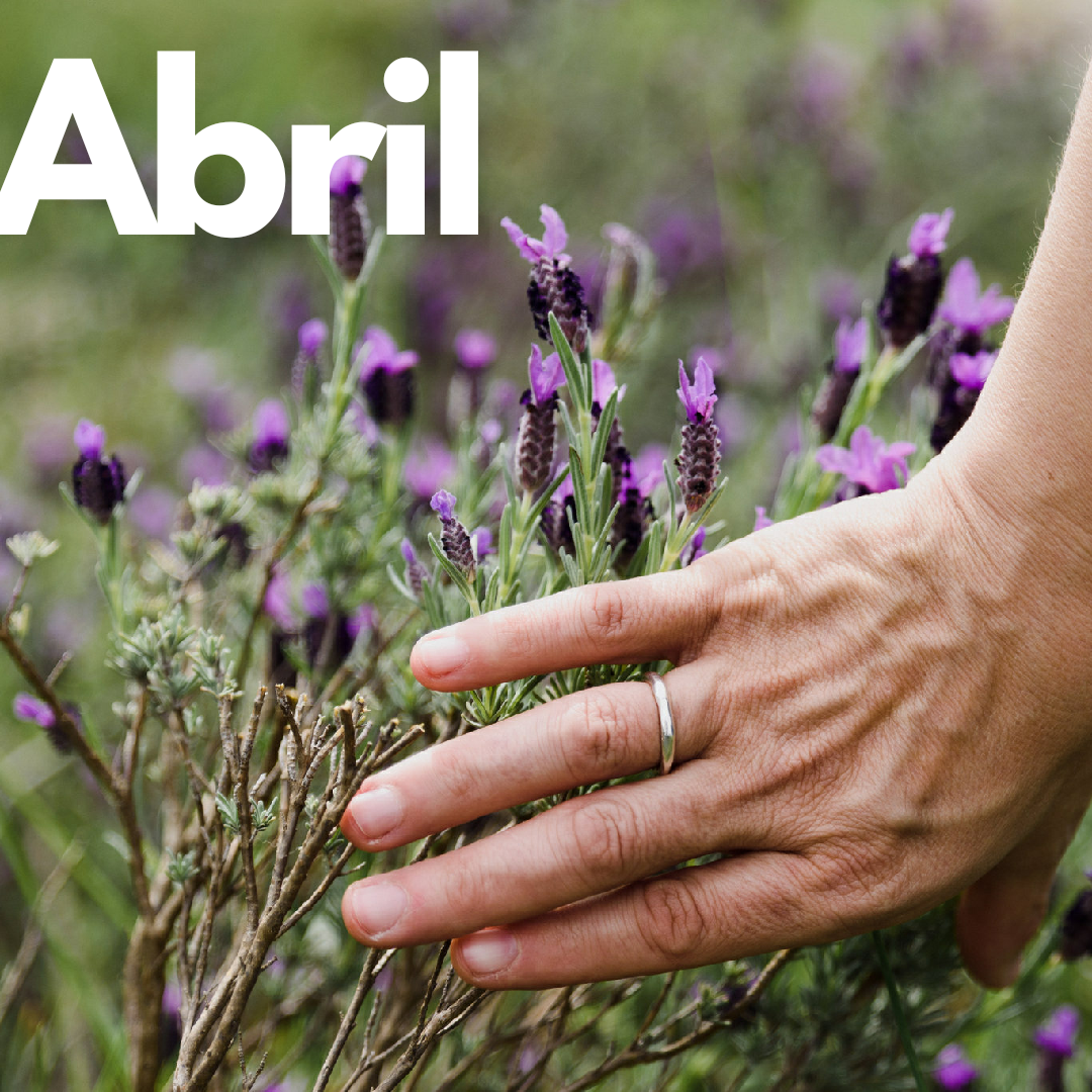QUE BÉ QUE JA ÉS PRIMAVERA! ACTIVITATS RESPONSABLES I EN GRUP QUE ET RECOMANEM A L'ABRIL