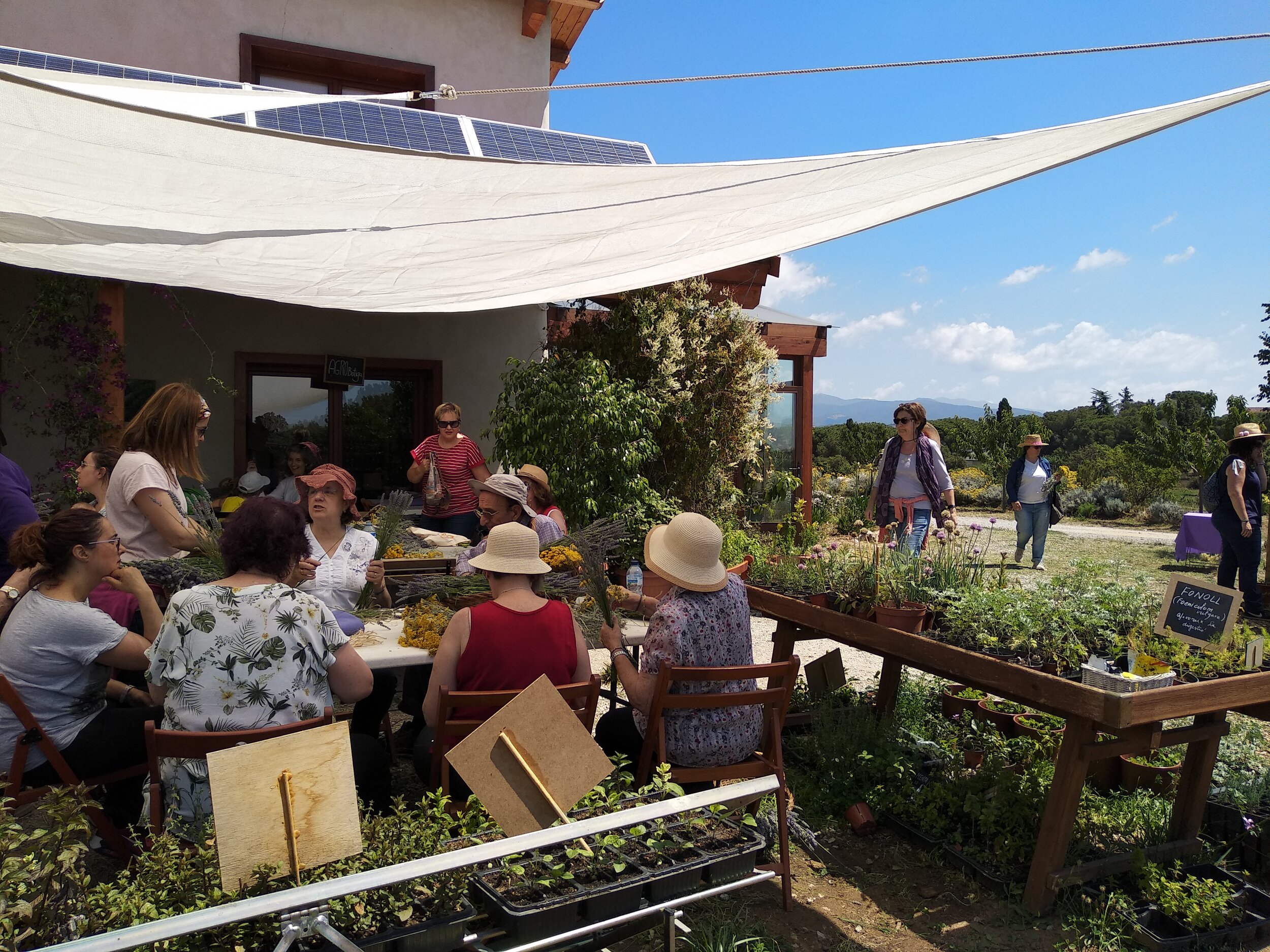 Tallers amb plantes aromàtiques