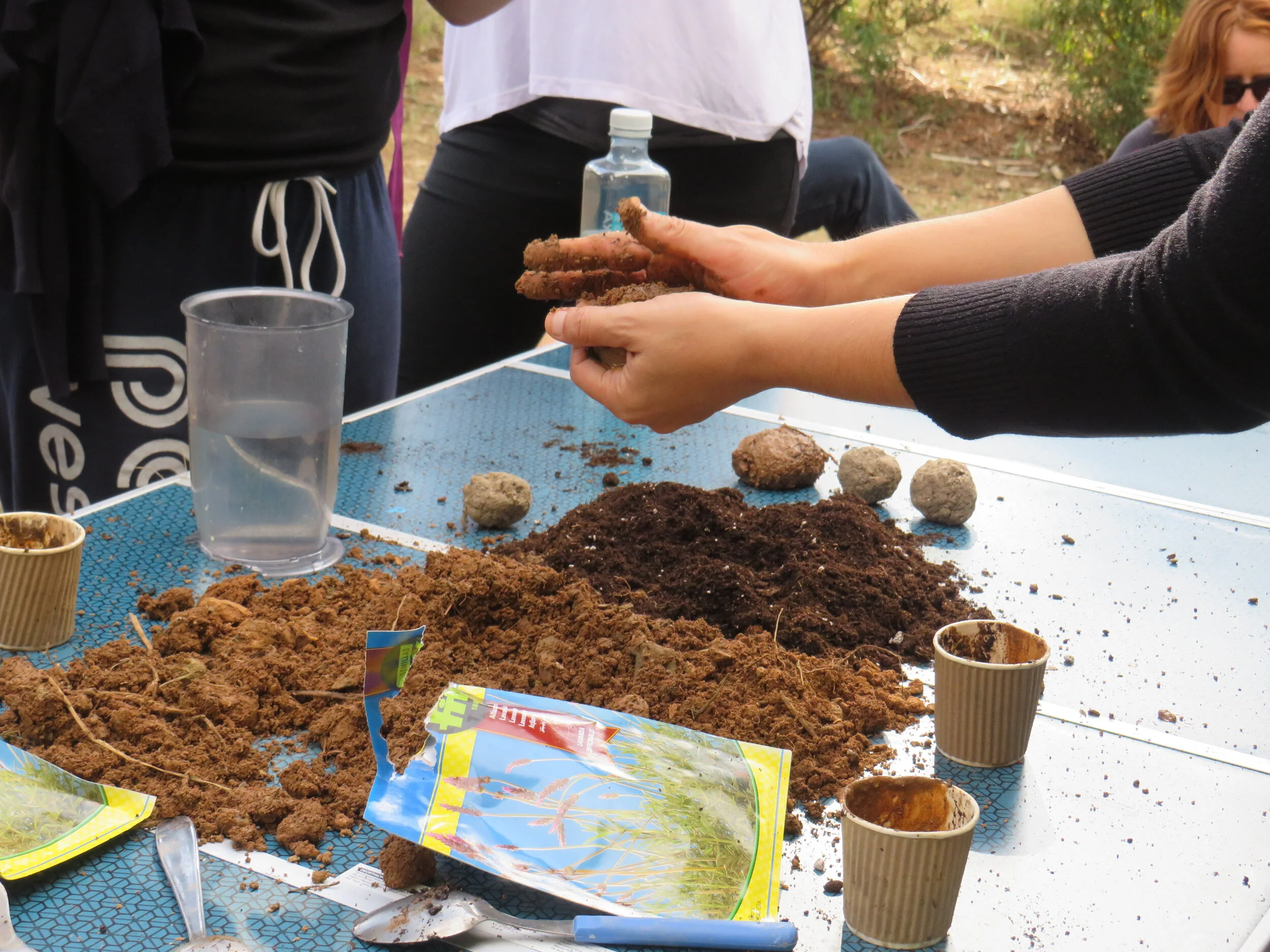 Natural reforestation workshops