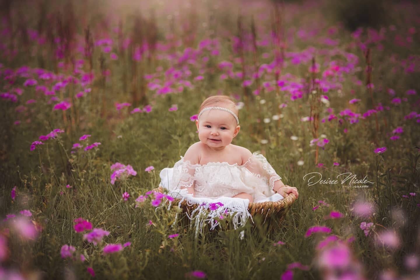 Sweet Amelia🌸✨

6 Month | milestone session

.
.
.
.
.

#babiesofinstagram #ocalaphotographer #floridaphotographer #desireenicolephotography #adorable #sittersession #milestone