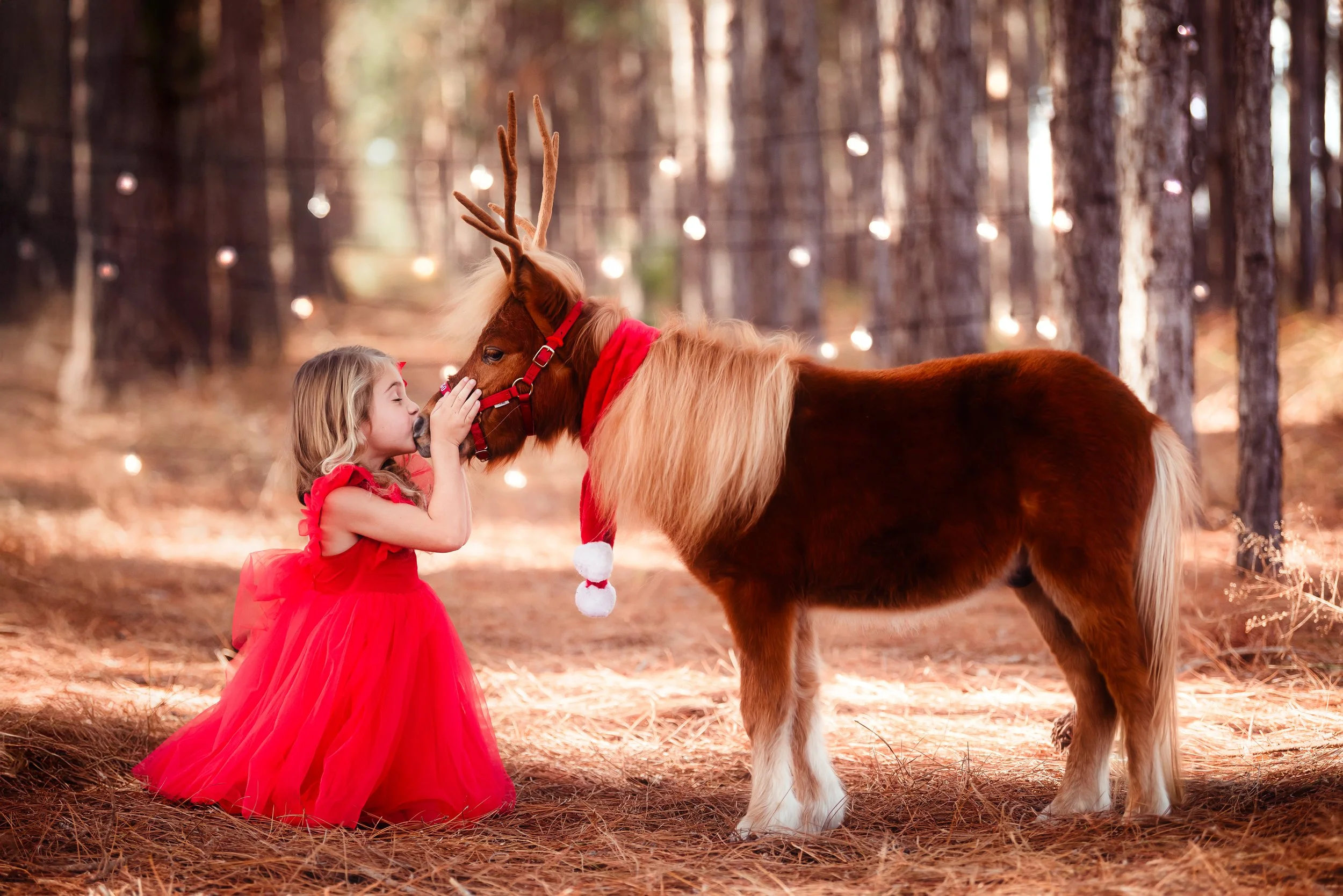 DesireeNicolePhotography(3of7).jpg