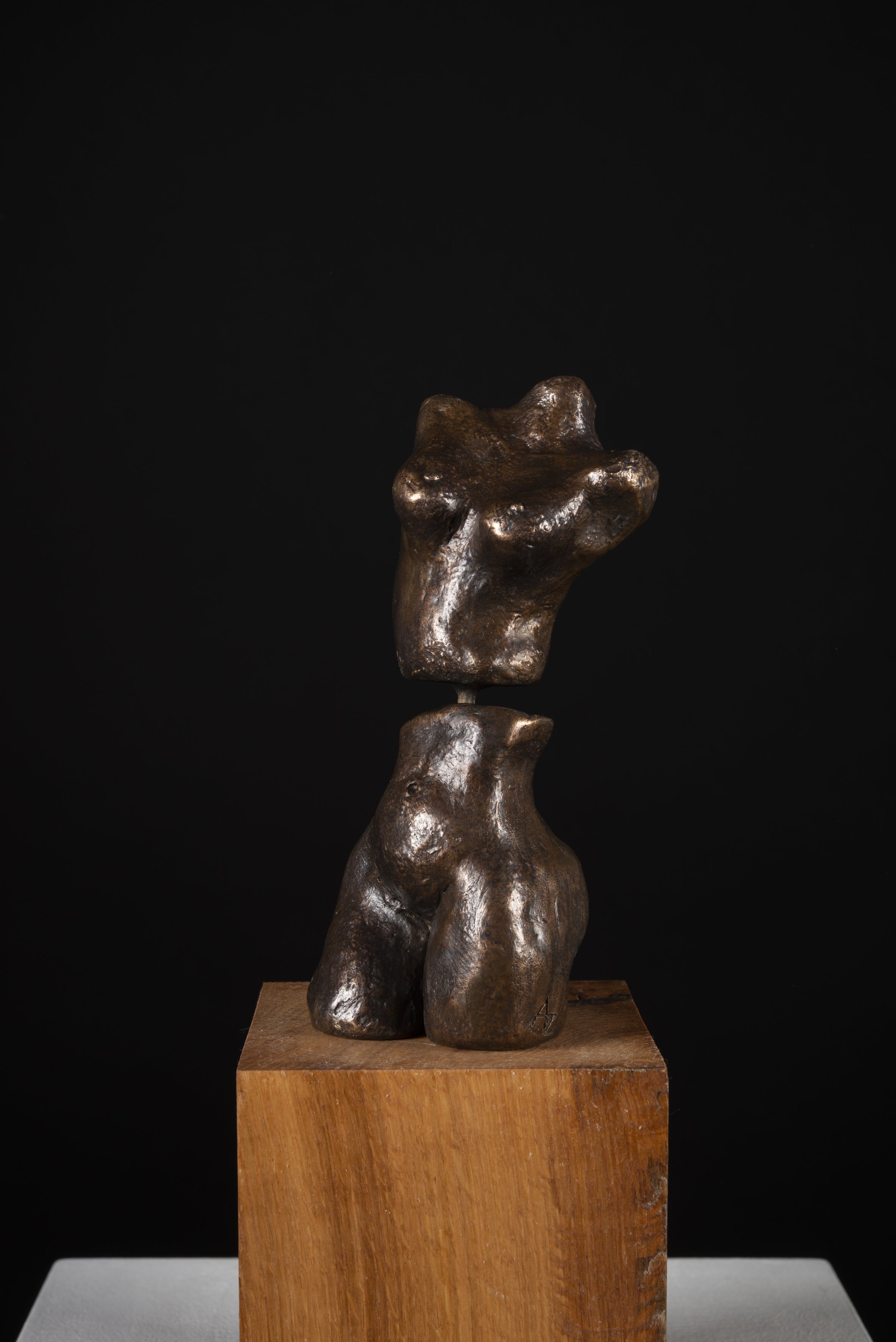 AZ_IMP_0165_Mini_Torso.JPG