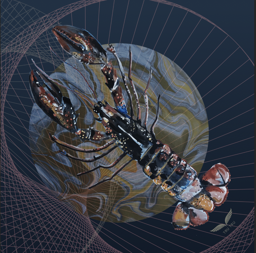 Screenshot 2025-11-06 at 07.57.32.png