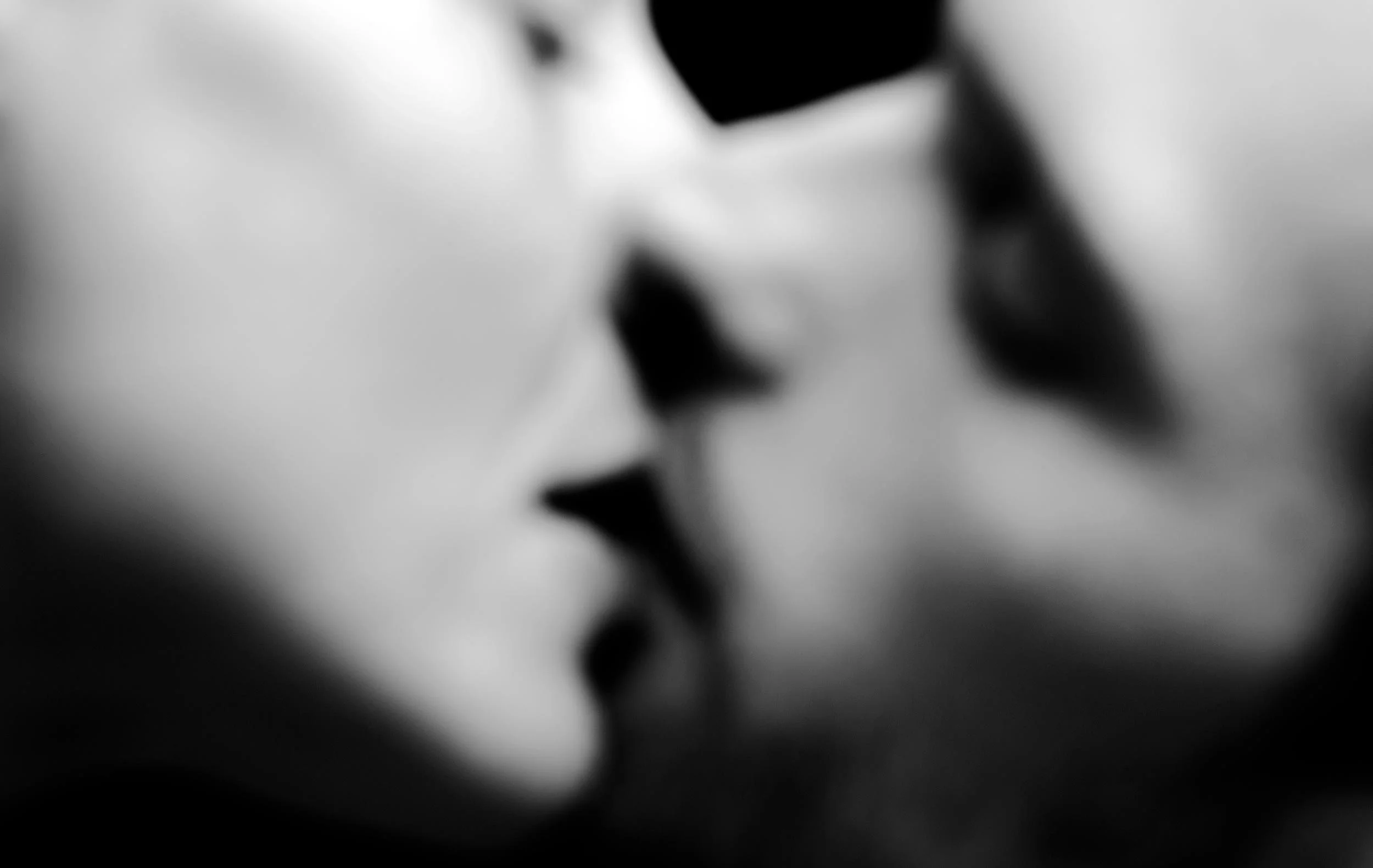 photopia-kiss.jpg