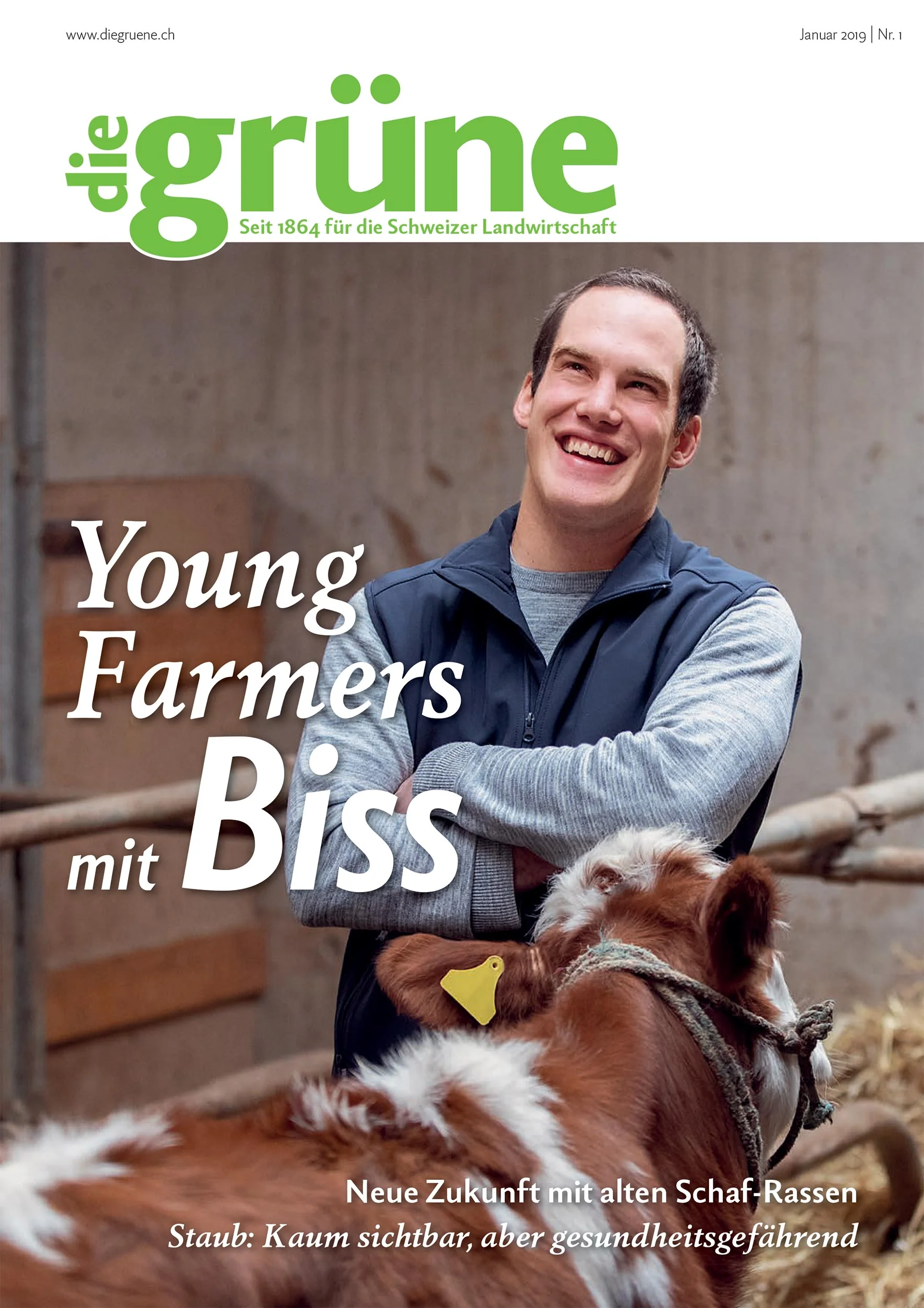 die grüne