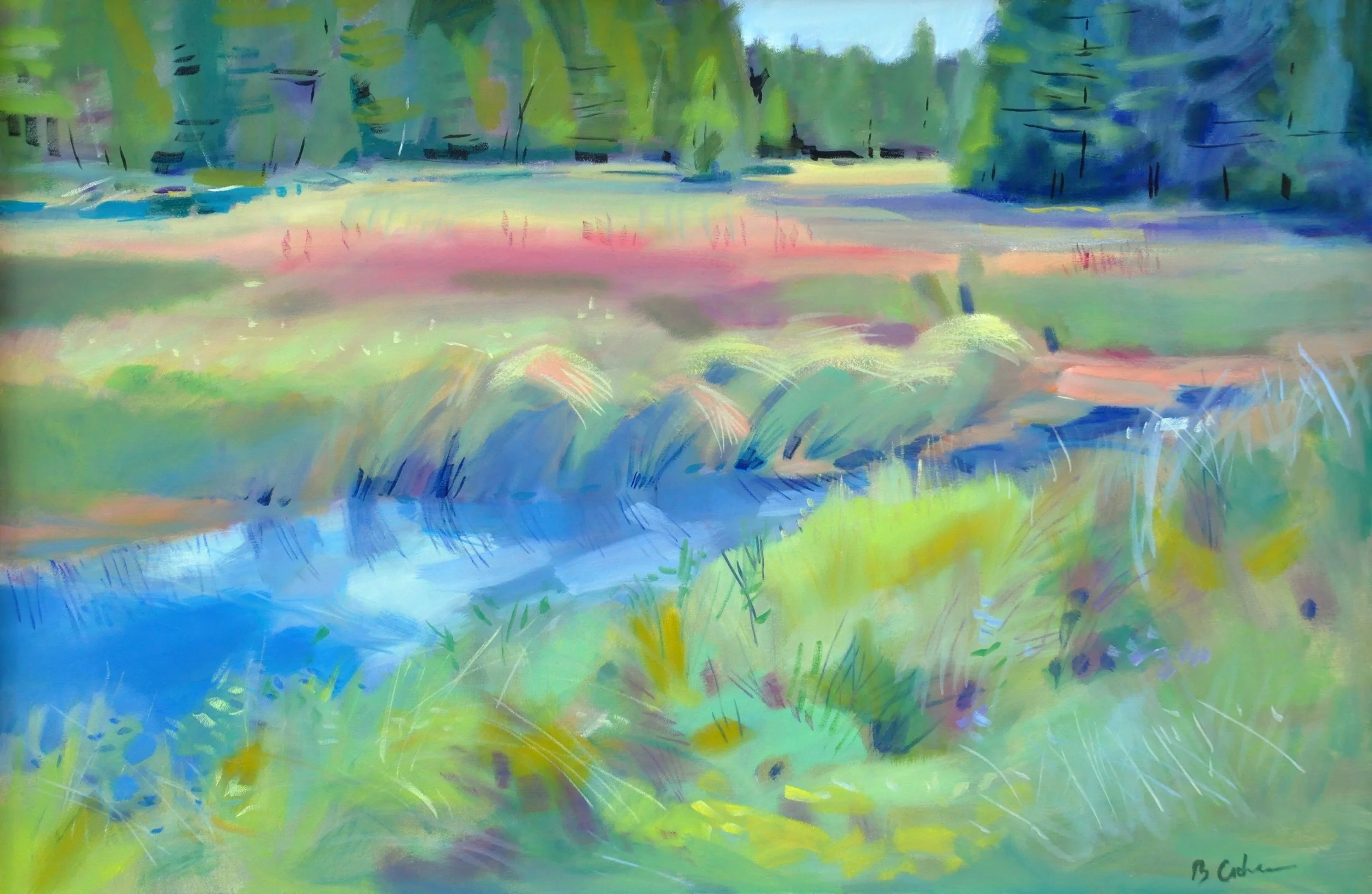 Crystal River Spring