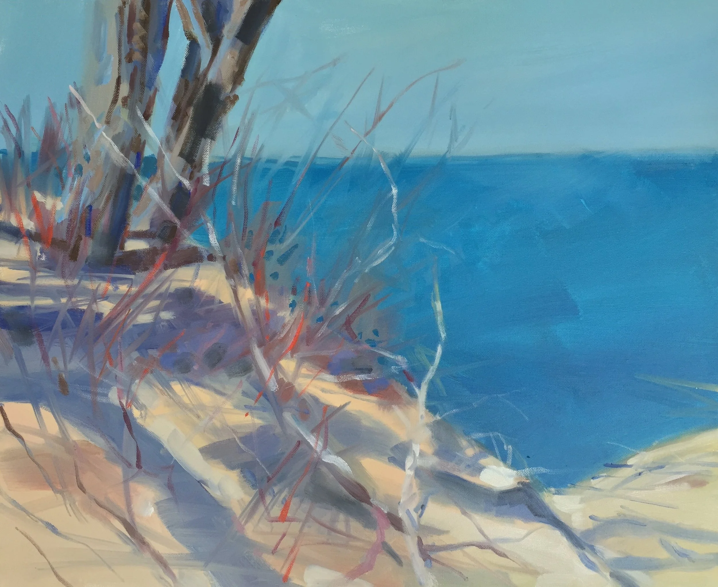 Dune Shadow