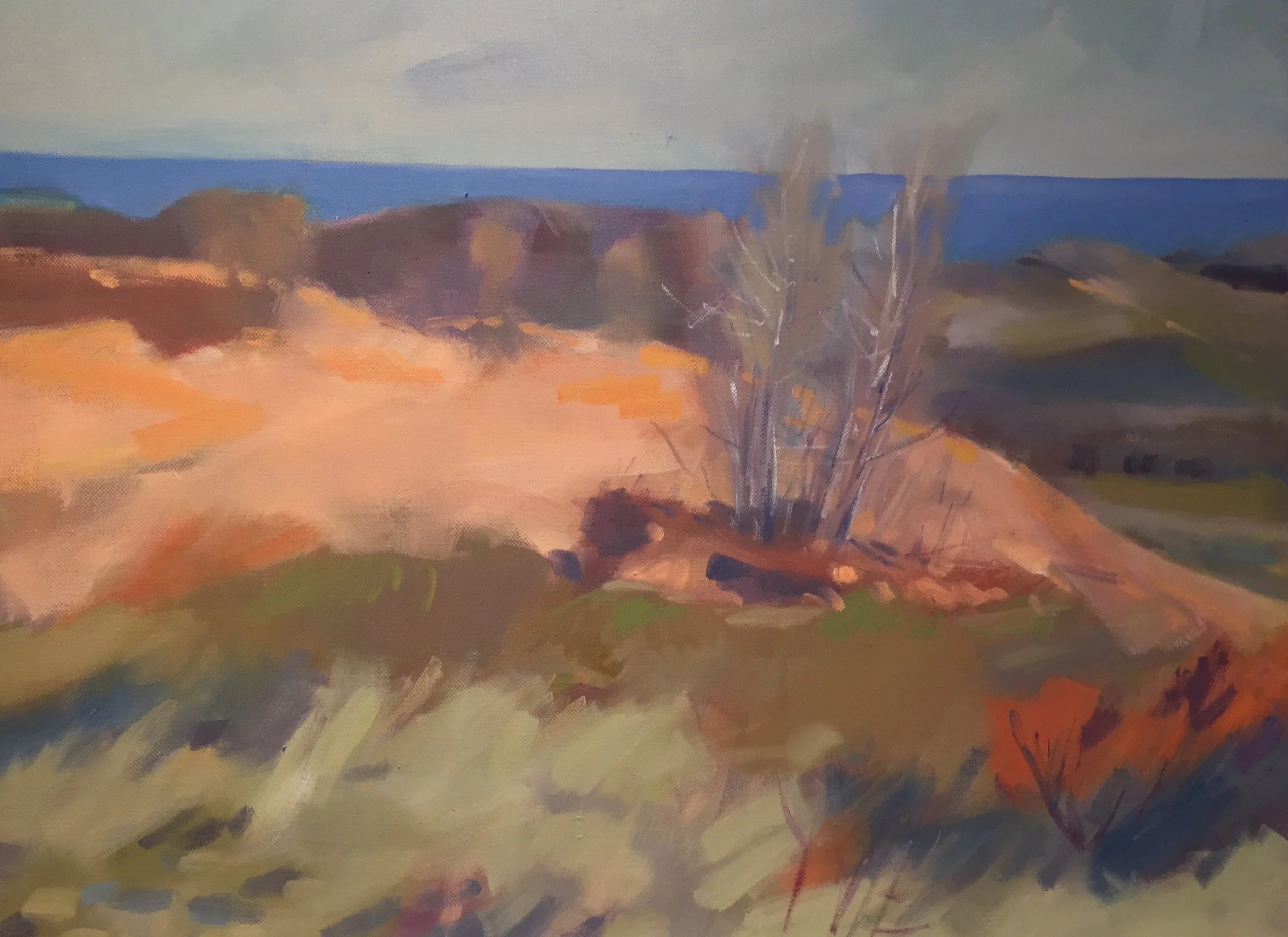 Winter Dunes