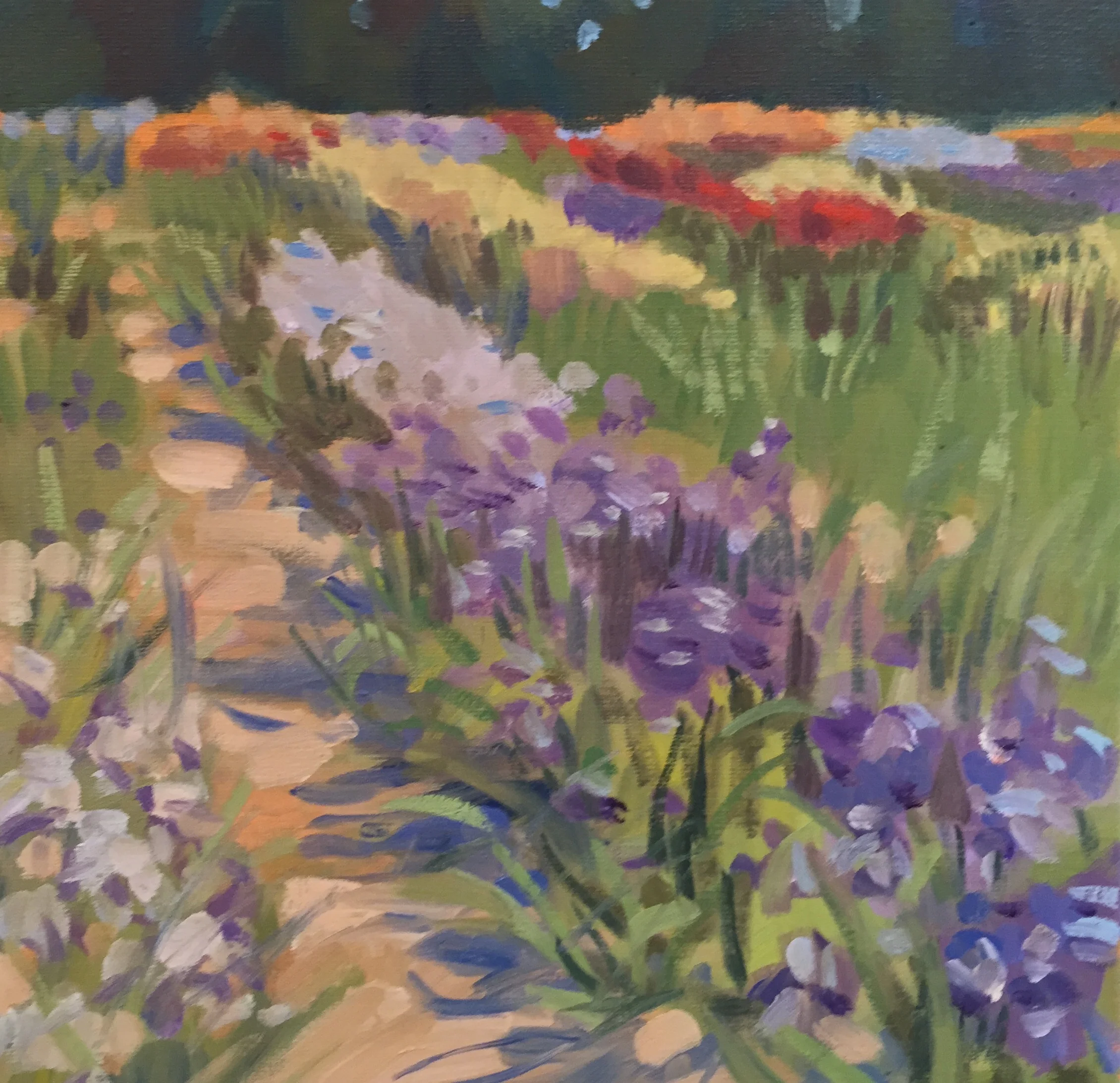 Iris Farm