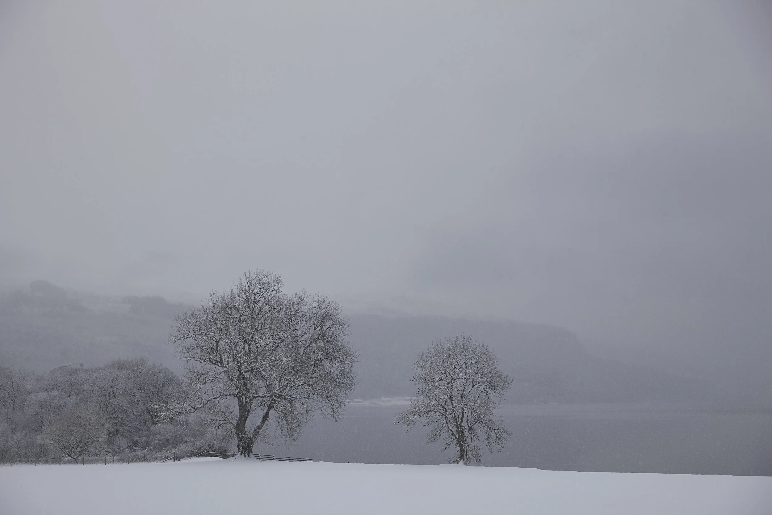 Winter_Ness_02.jpg