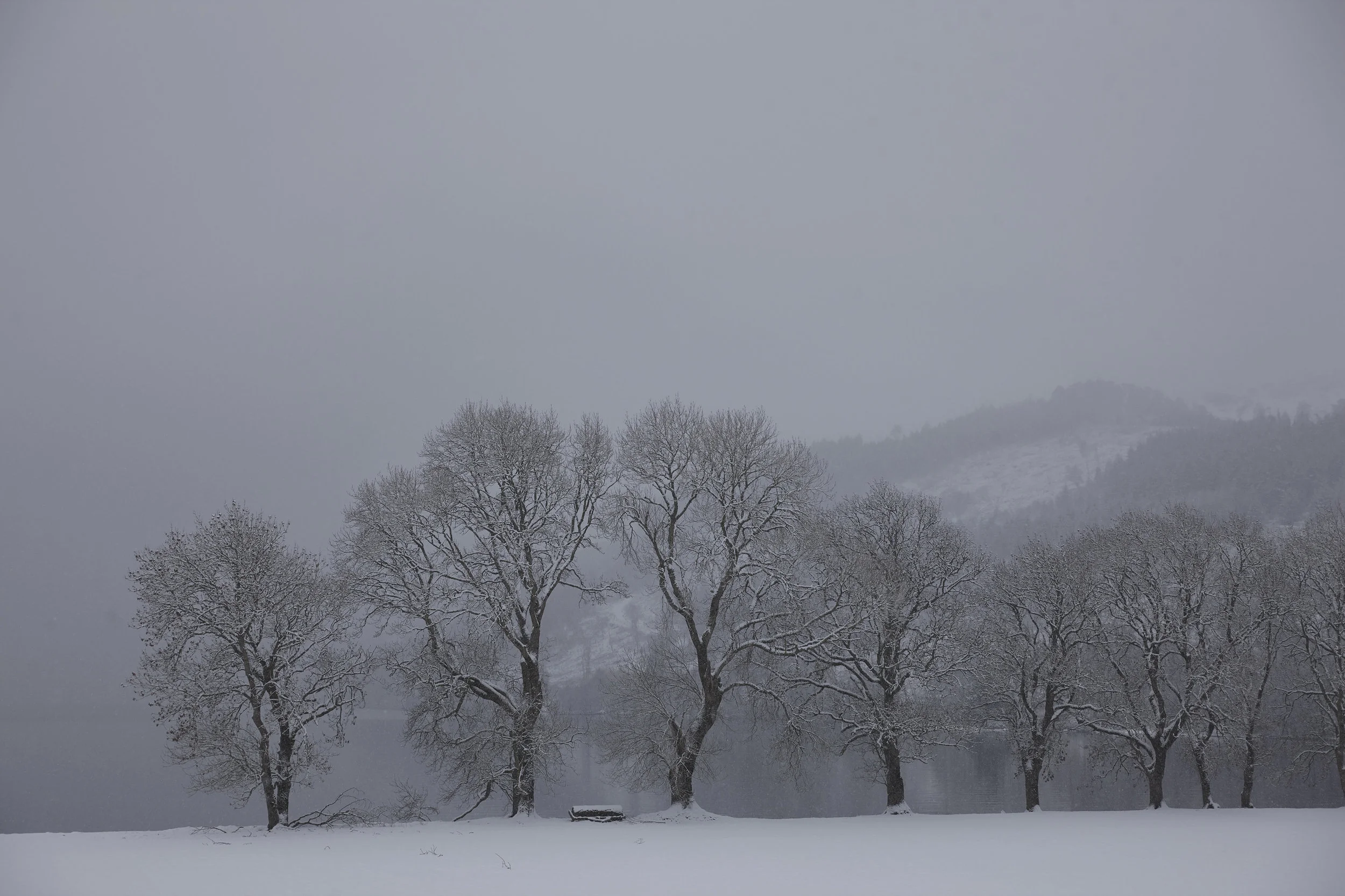 Winter_Ness_03.jpg