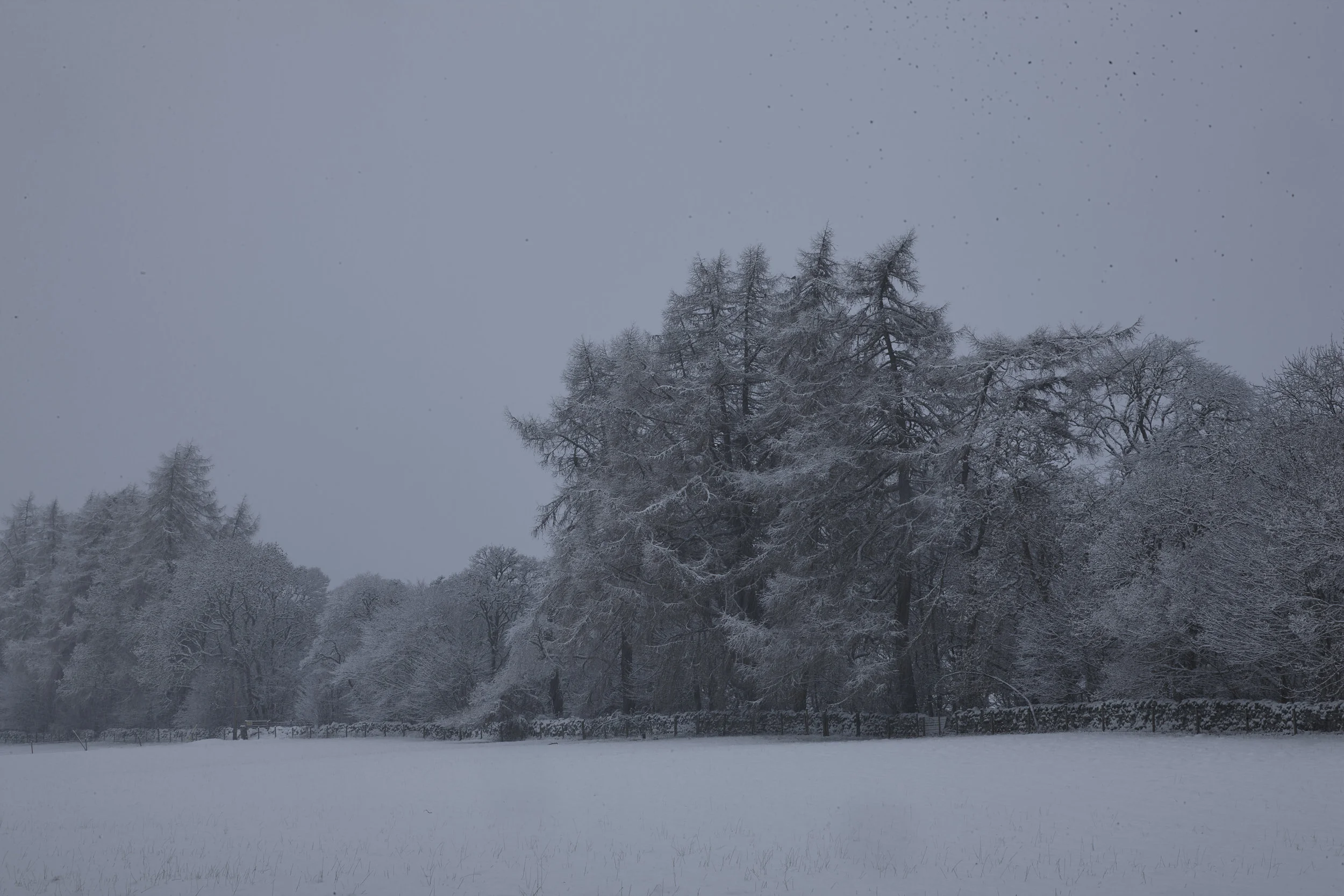 Winter_Ness_09.jpg