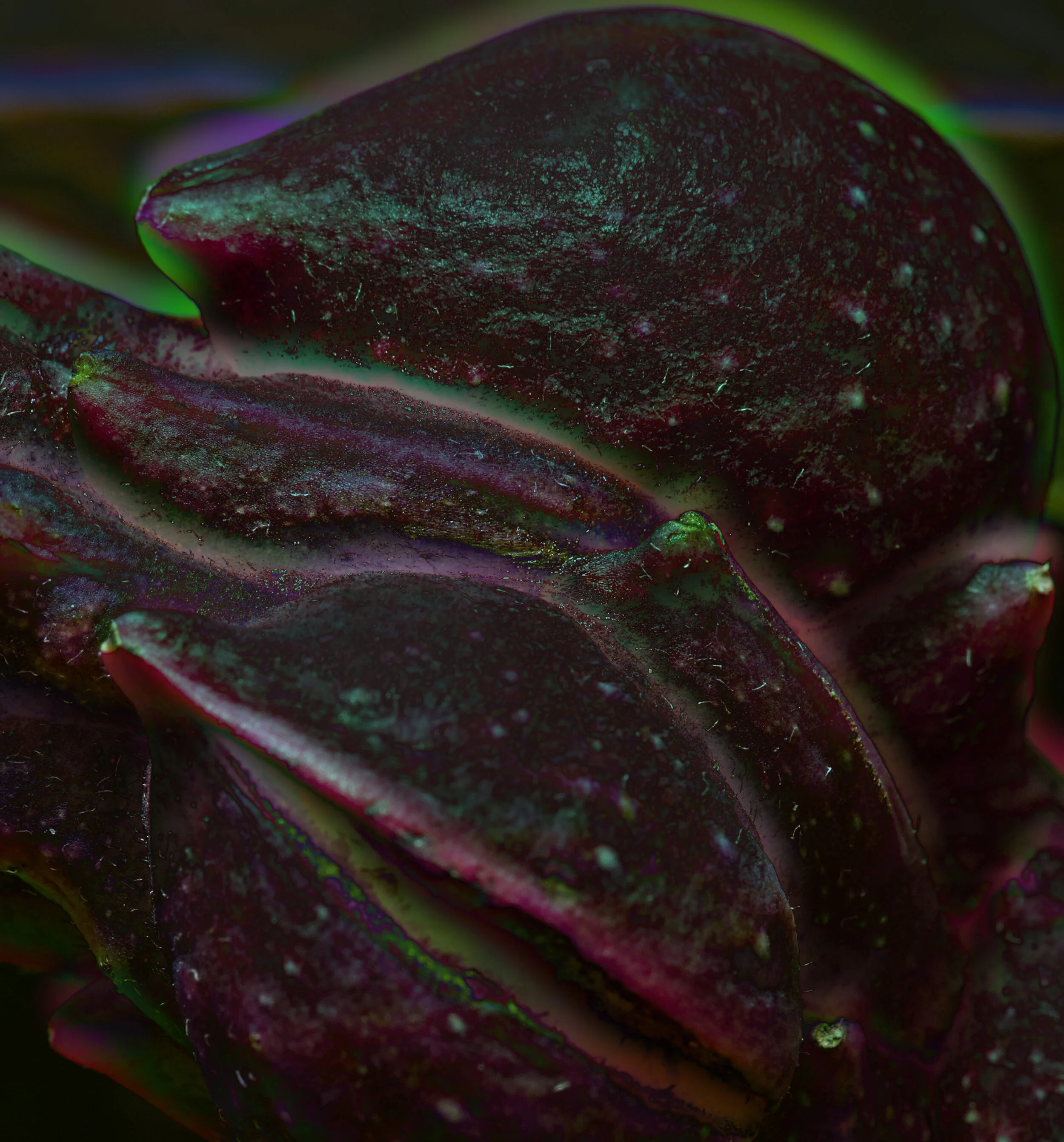 Aliens_Behance__0003.jpg