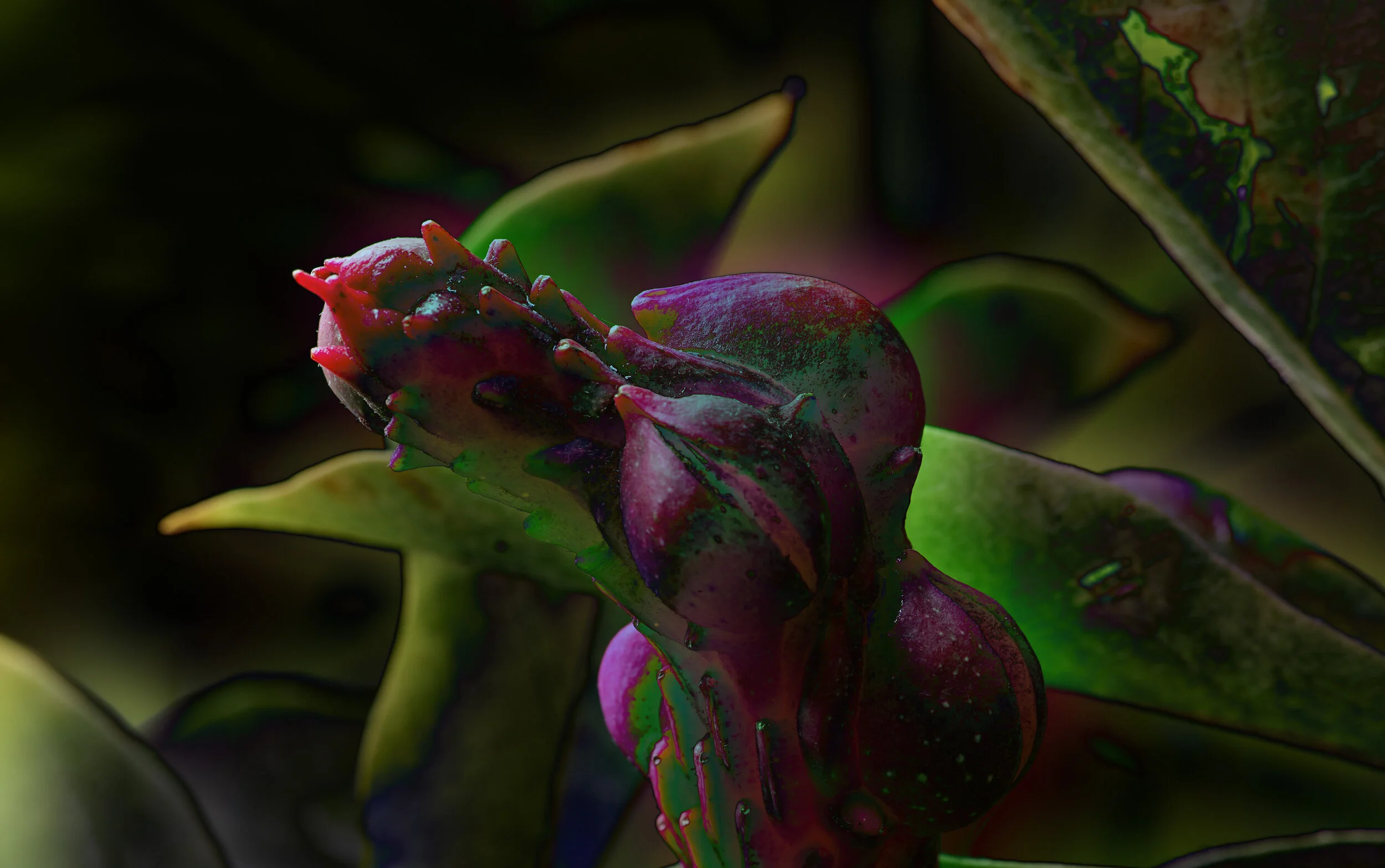 Aliens_Behance__0008.jpg
