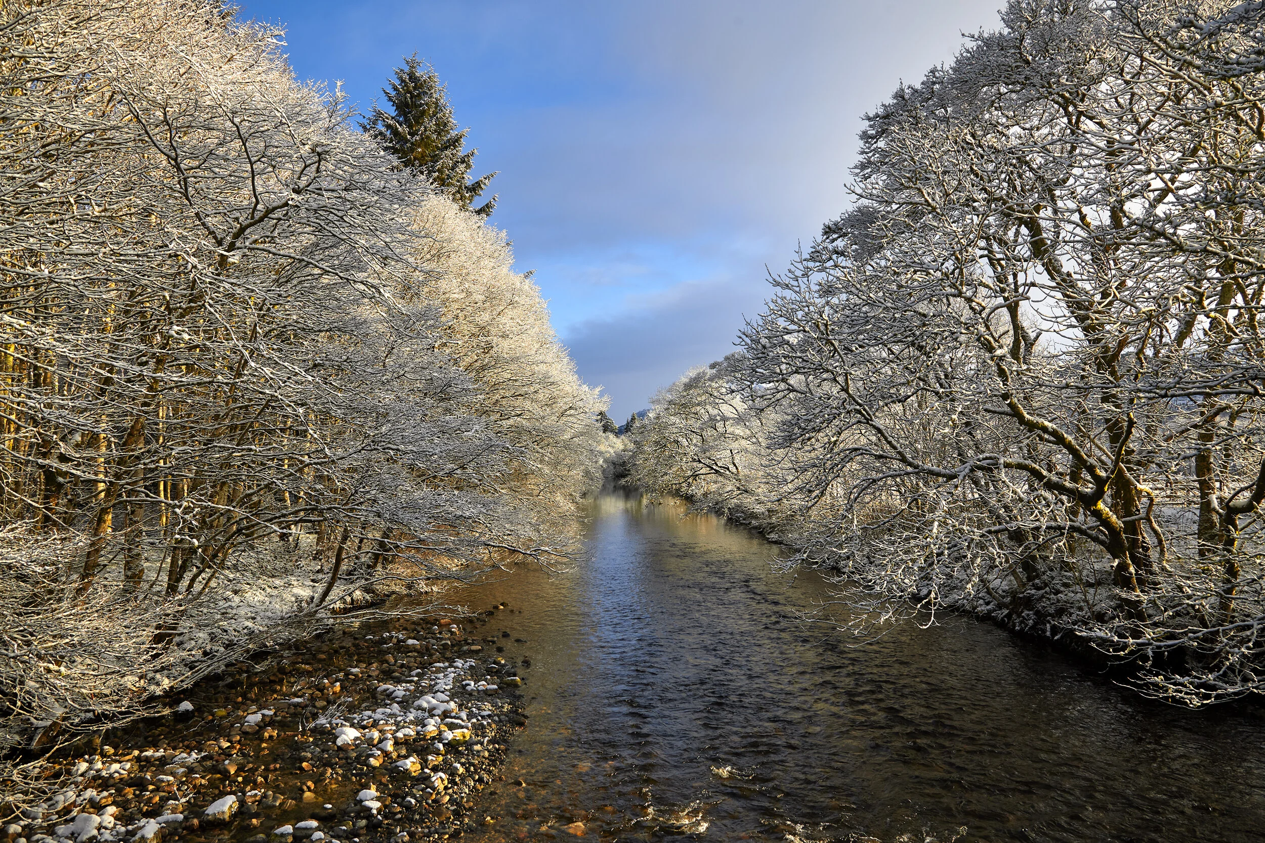 _ML_0091 2_ML_0091.jpg