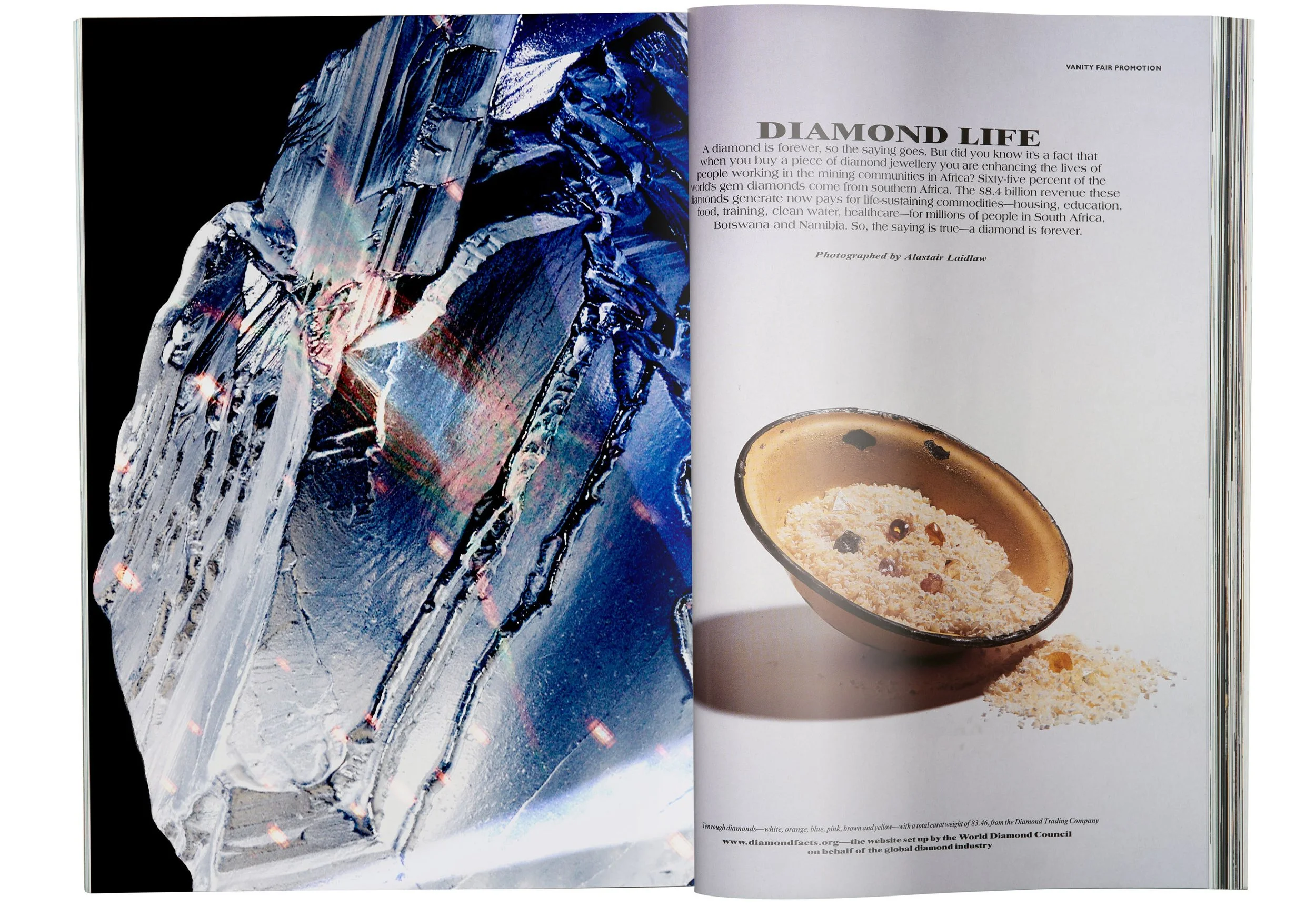 _1123503 copy (1).jpeg