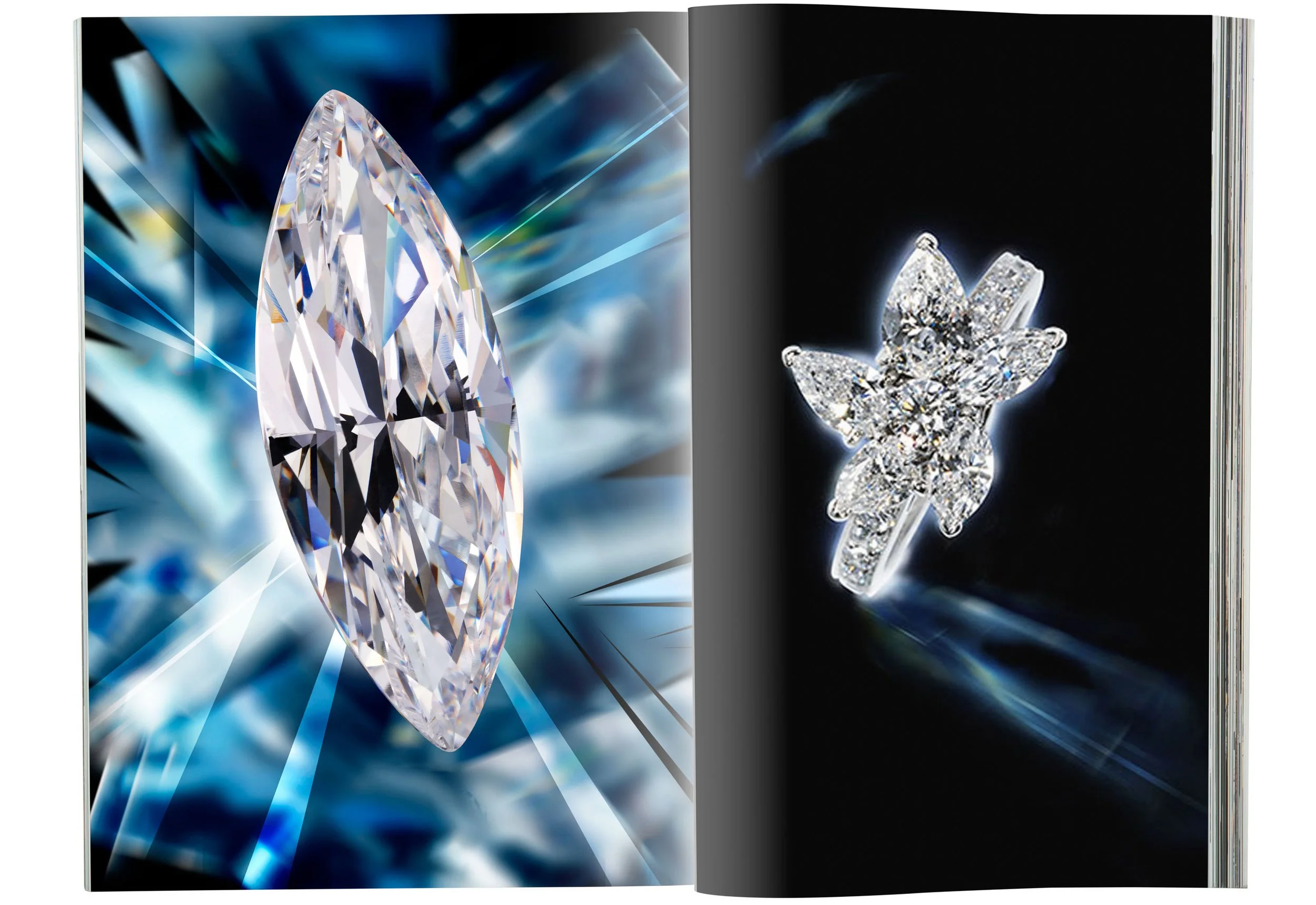 _1123503 copyFIN.jpeg