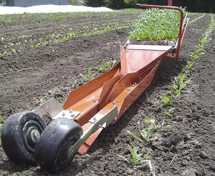 Paper pot transplanter planting rows of spinach.