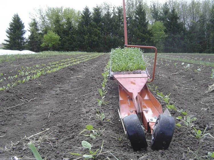 Transplanter-Spinach.jpg